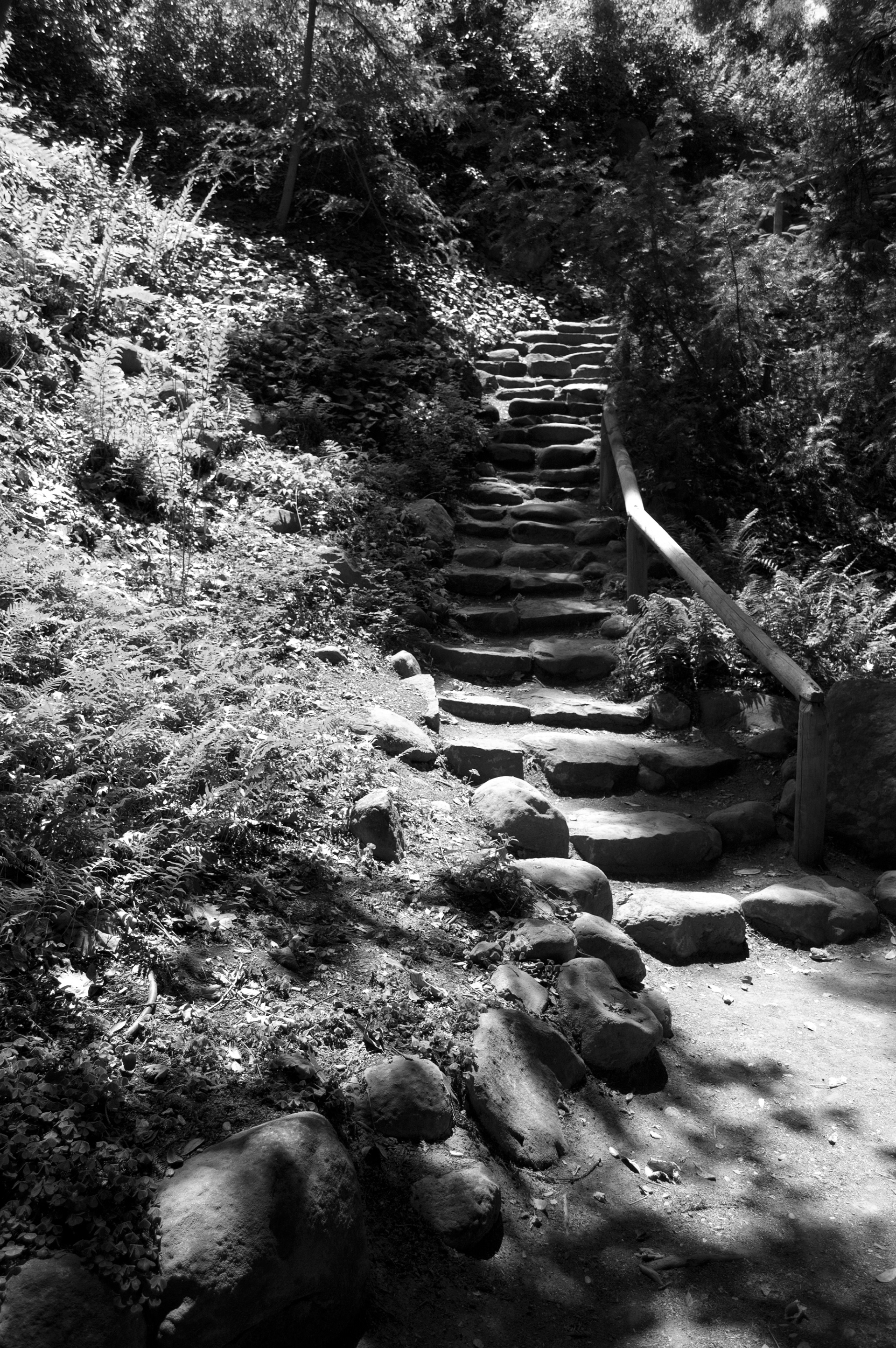 Stairs © 2013