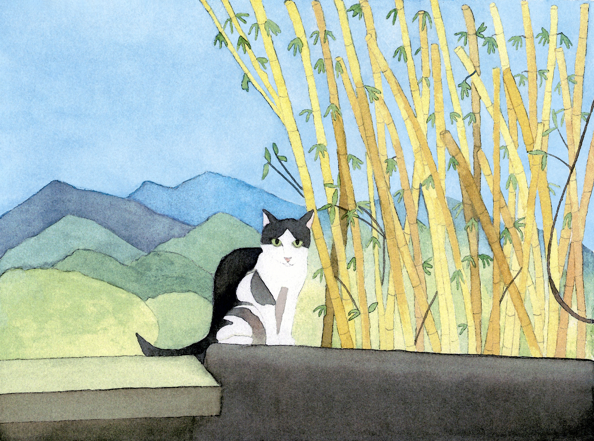 Victoria Outdoors © 2019