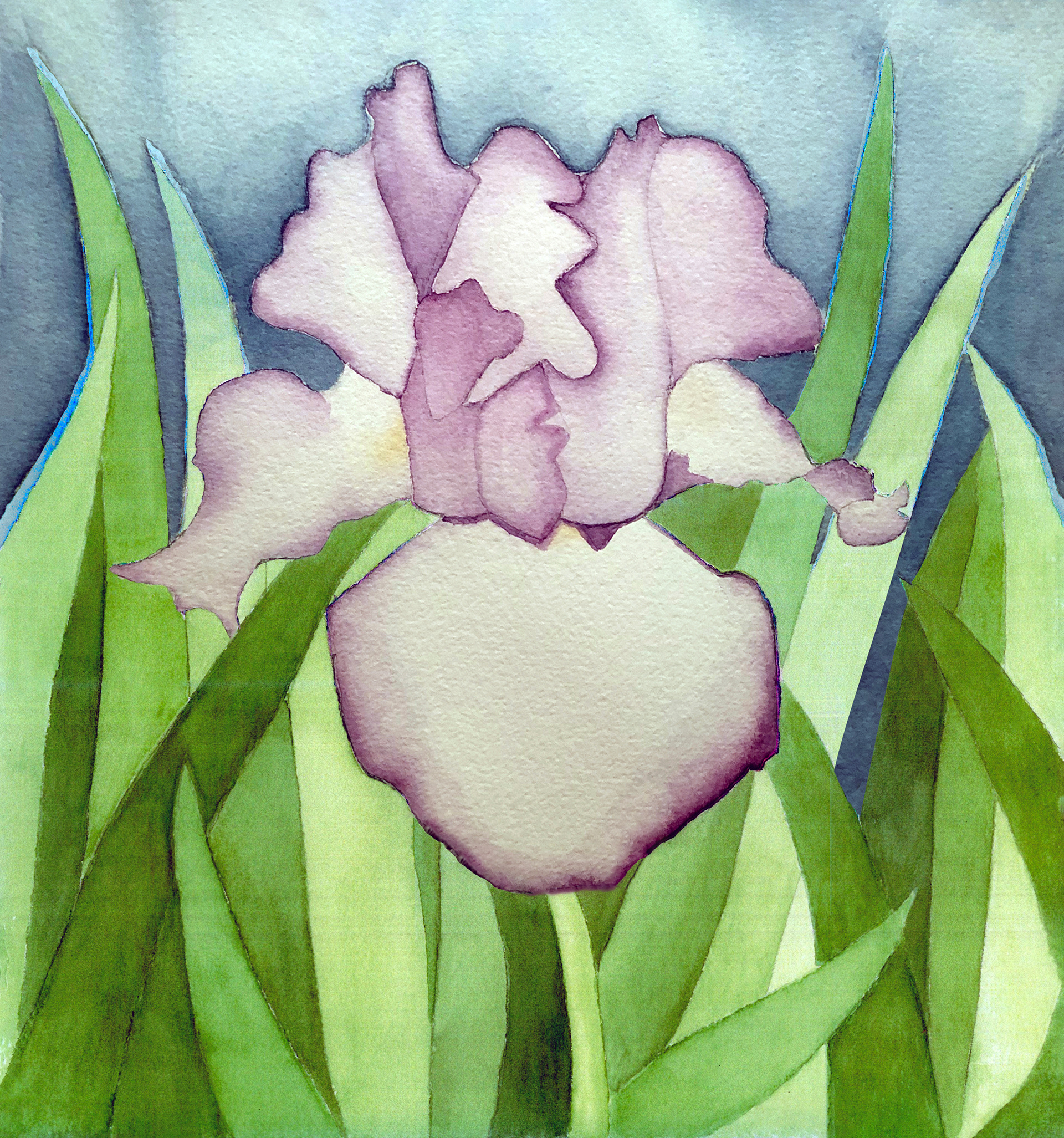 Springtime Iris © 2022