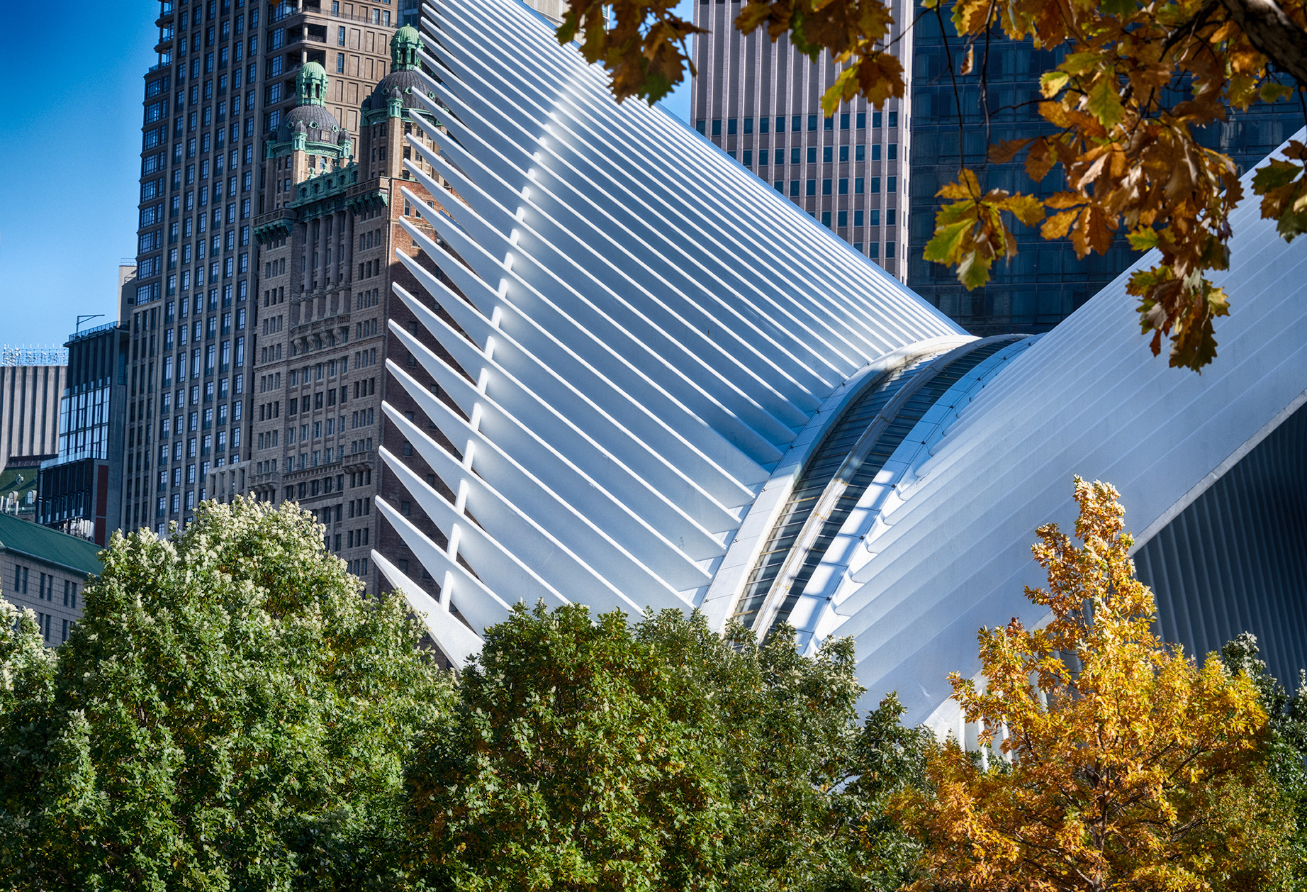WTC Transportation Hub