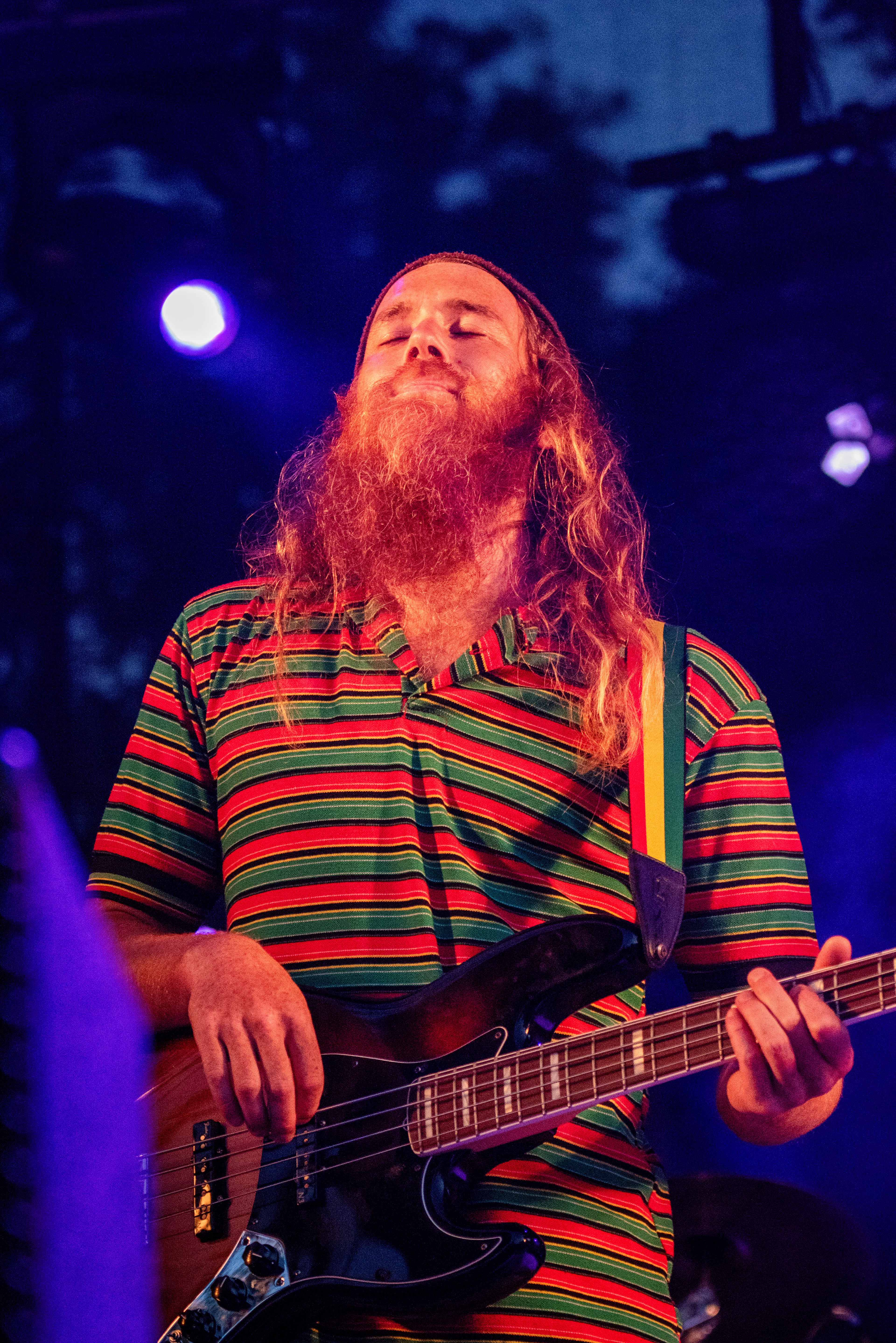 Davyman & the Swamp Lions