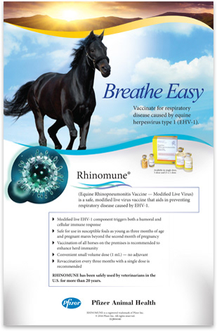 Pfizer animal health rhinomune poster