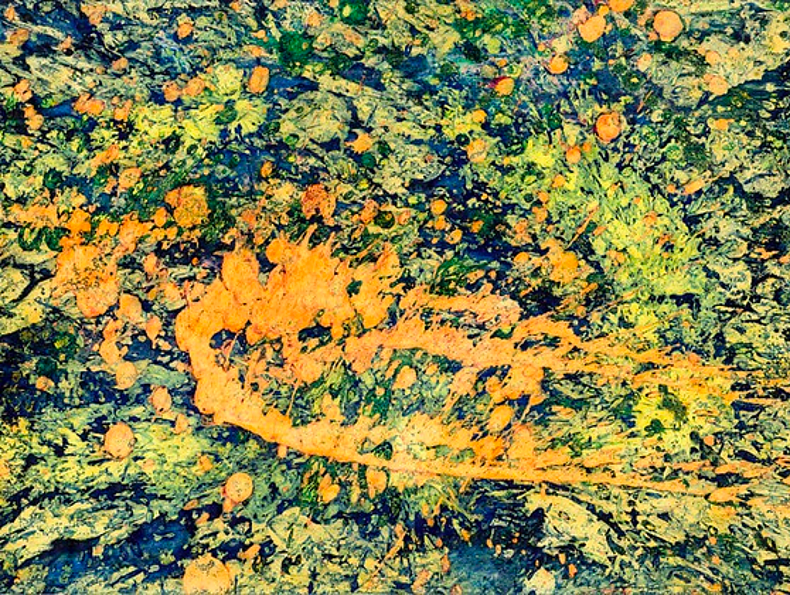 "Ring of Fire",  exhibited Opfikon 2005