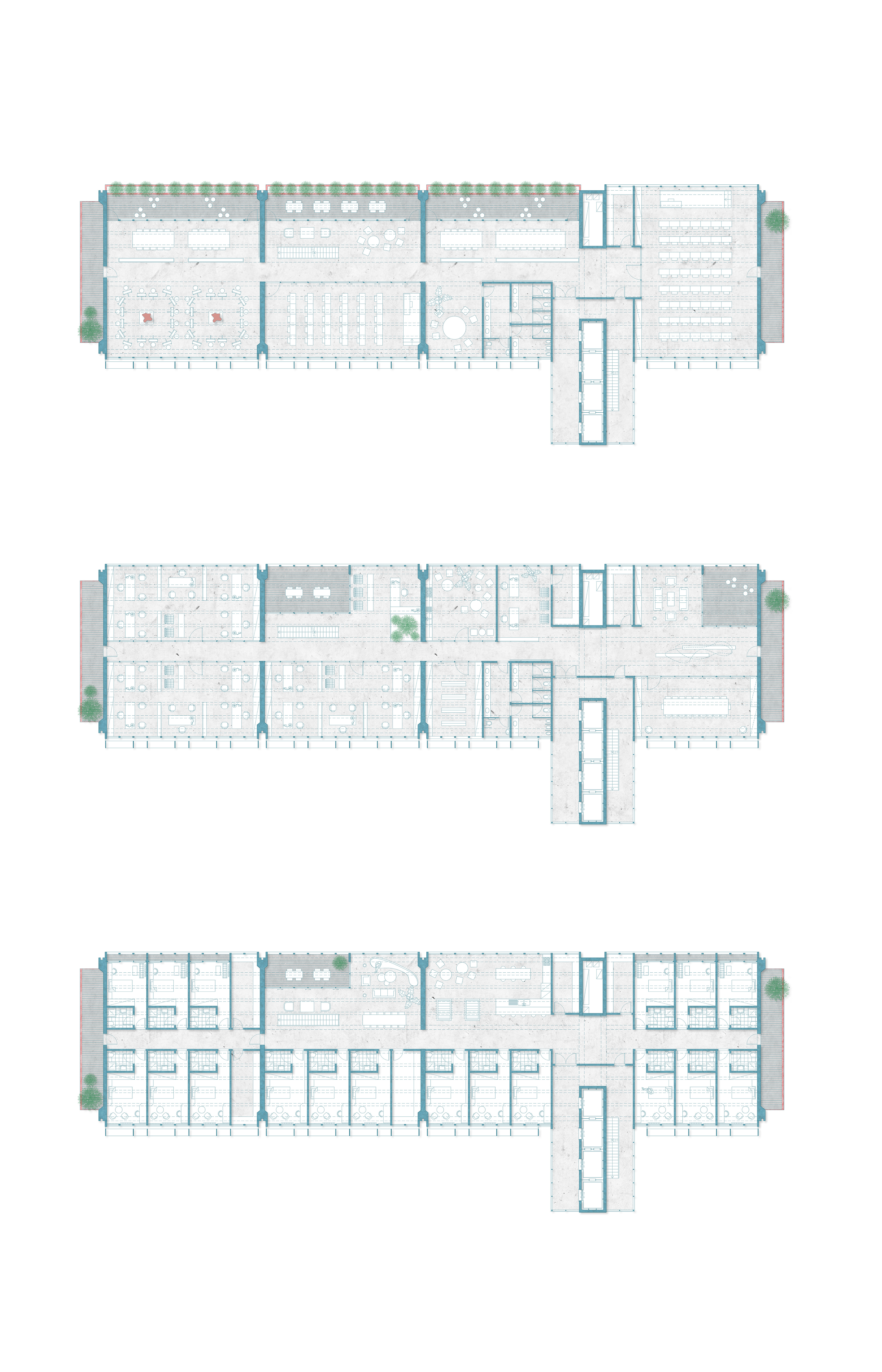 TYPICAL FLOOR PLANS