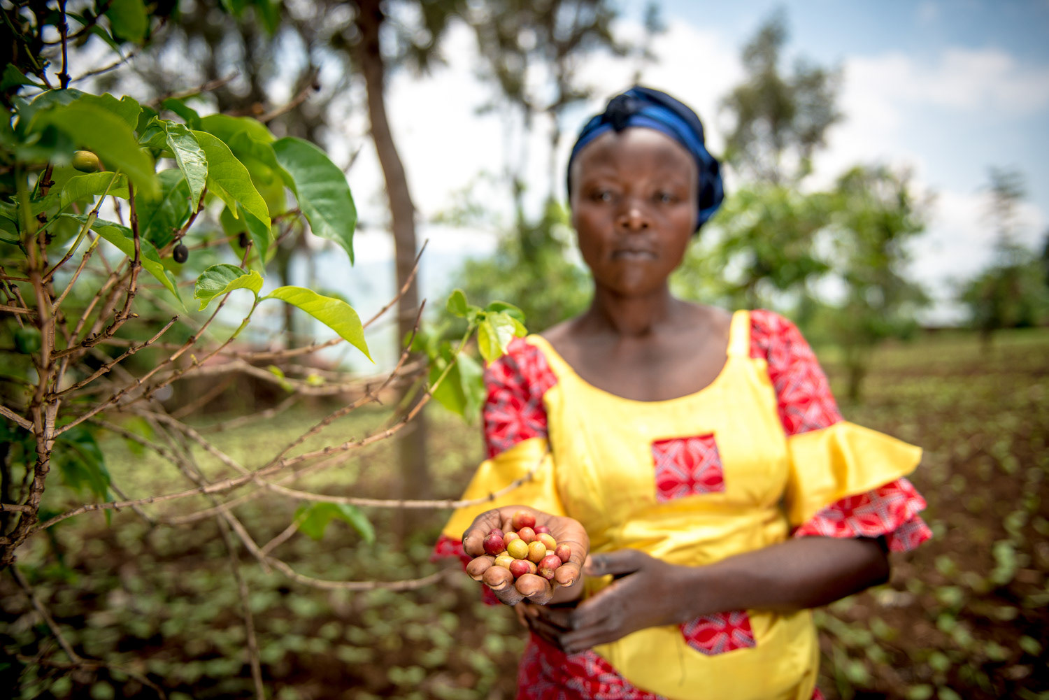 Coffee Producer - - On assignment with Women for Women International in the Democratic Republic of Congo.