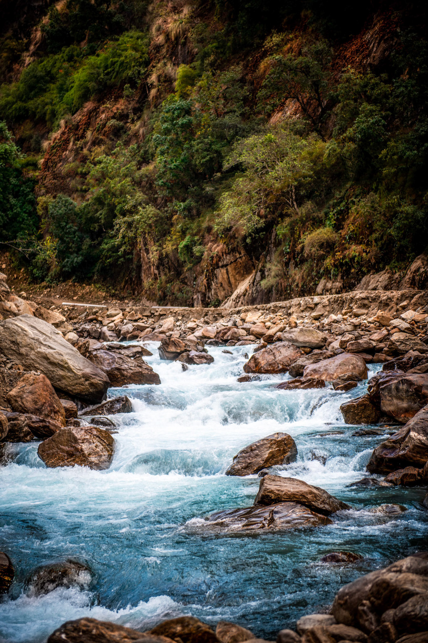 Mighty River - Langtang Trek in the Himalayas, Nepal