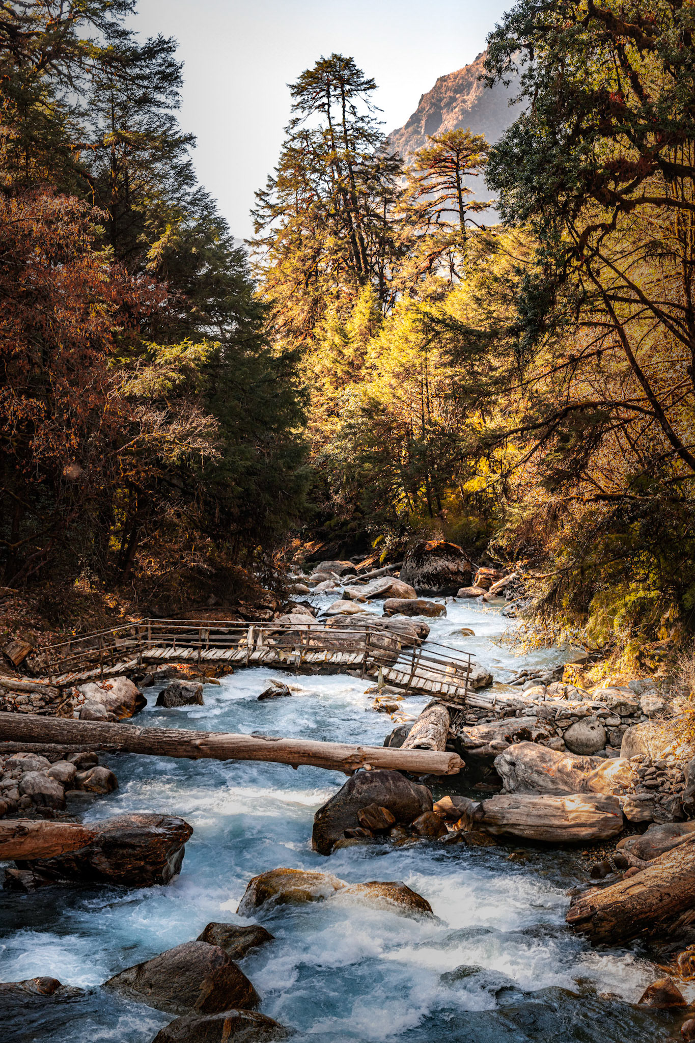 Mighty River - Langtang Trek in the Himalayas, Nepal