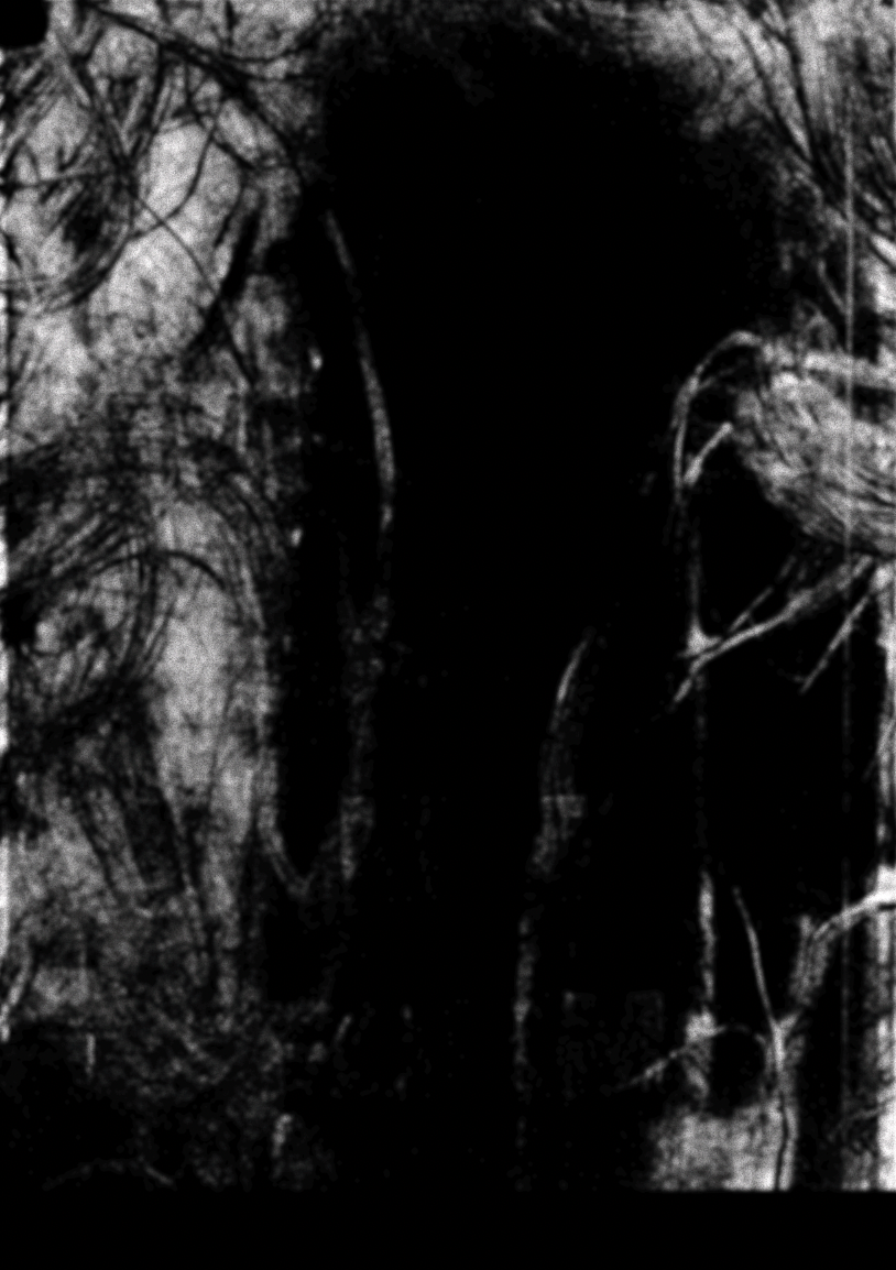 Printer scanner work - acetate sheet and face scan edited on photoshop (2023)