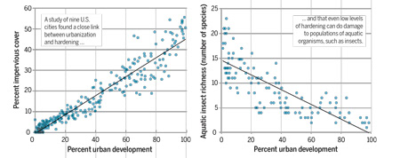 When we put all of the puzzle pieces together and cleaned up all of the data, what surfaced was that as towns and cities became more 'impervious', or covered their surrounding lands in substrates like pavement and cement, there was a sharp decline in surrounding aquatic insect populations.