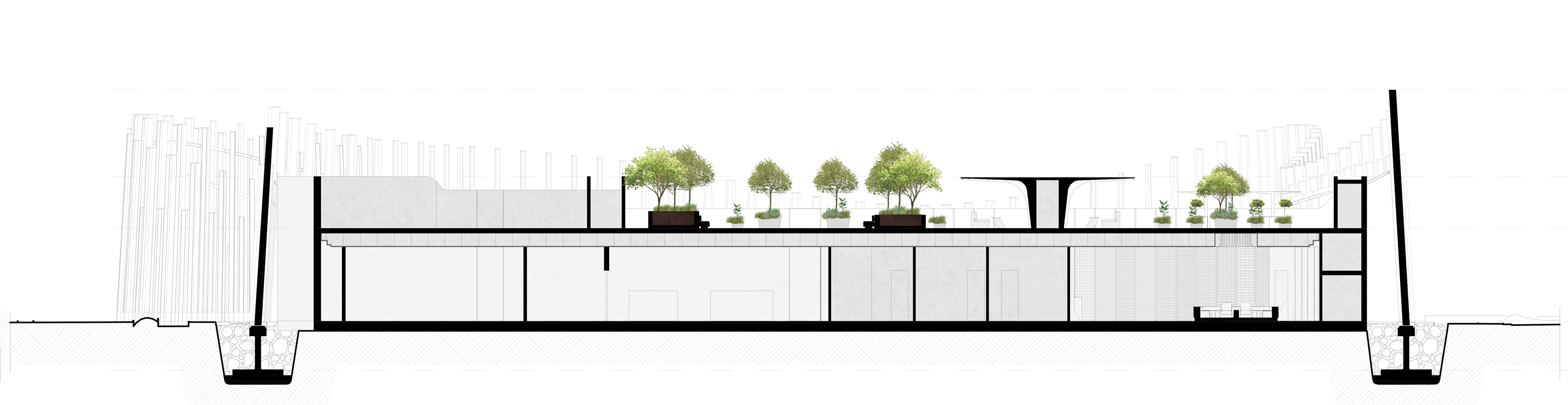 Section AA' displaying various trees on the rooftop and in the garden