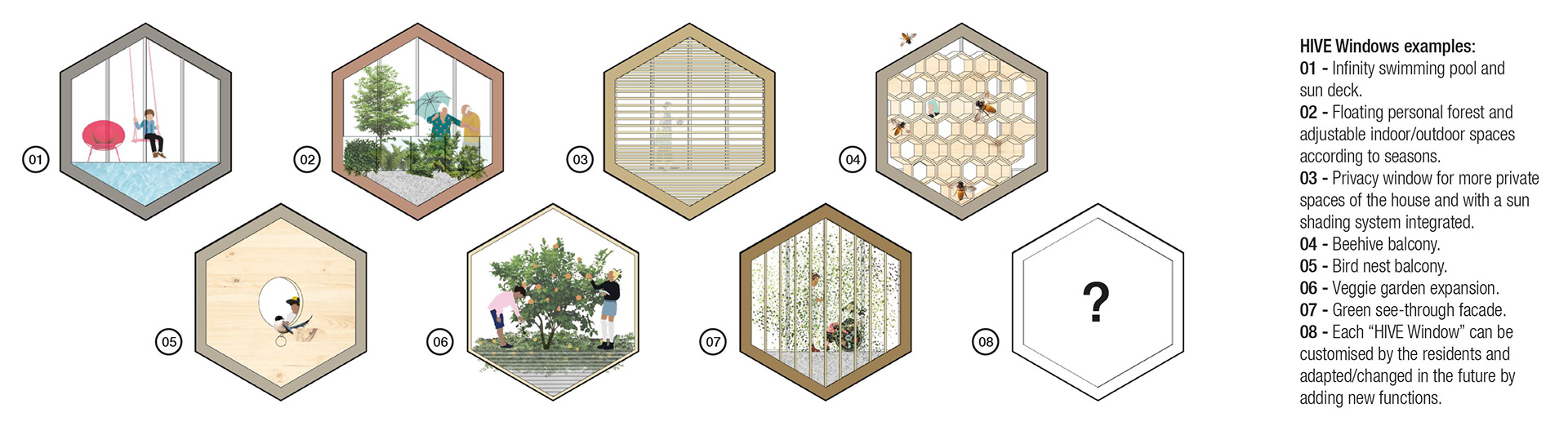 Diagram of different type of windows