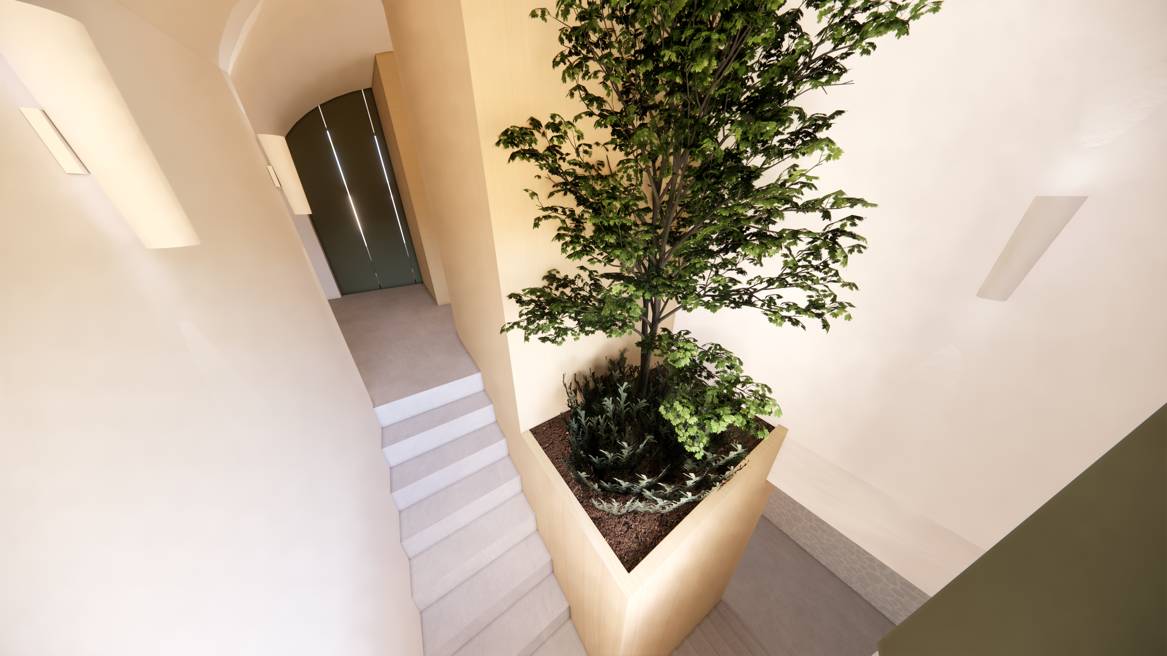 A corner of the house with a living plant