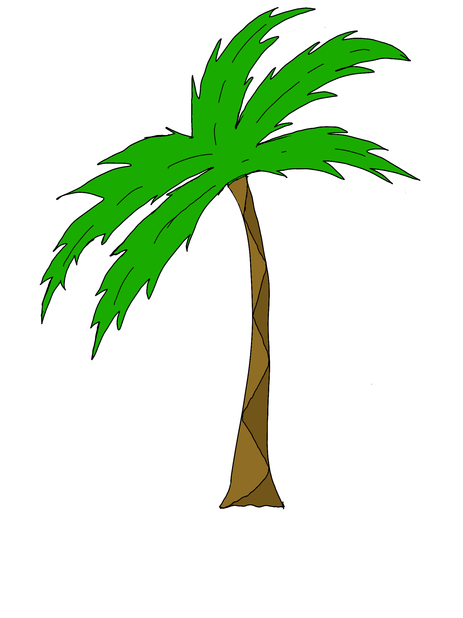 palm tree