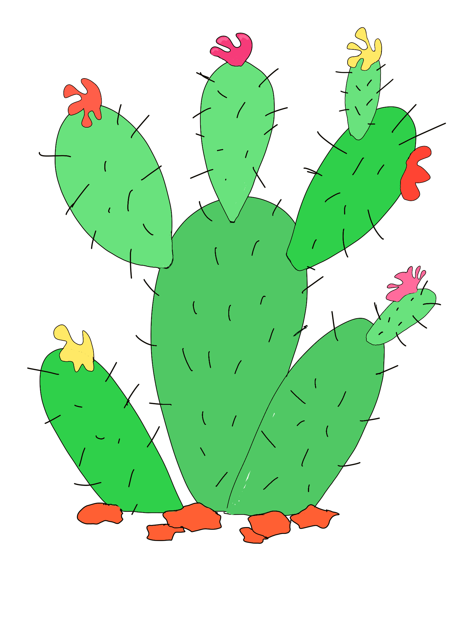  flowering cactus drawing