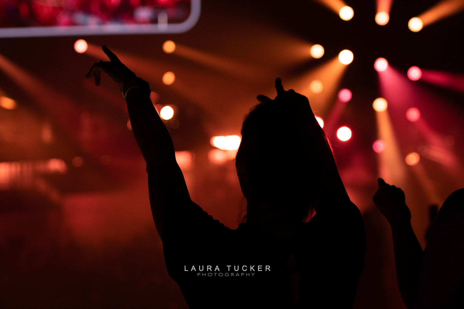 AUDIENCE