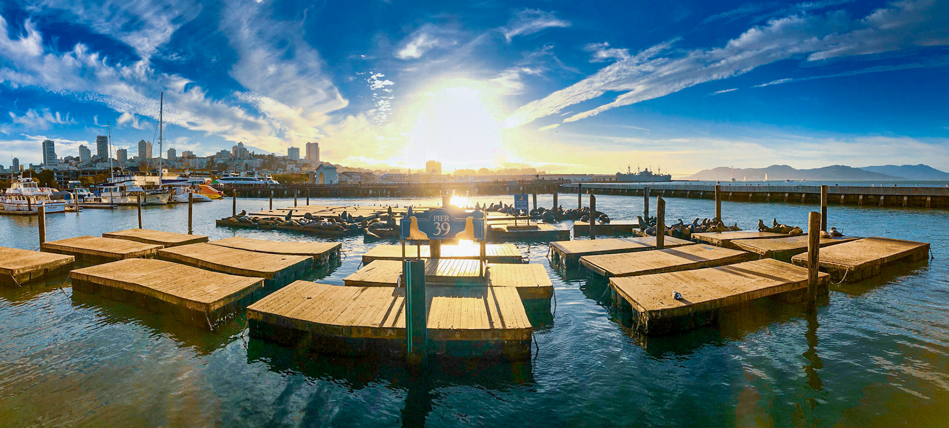 PIER 39 SAN FRANCISCO