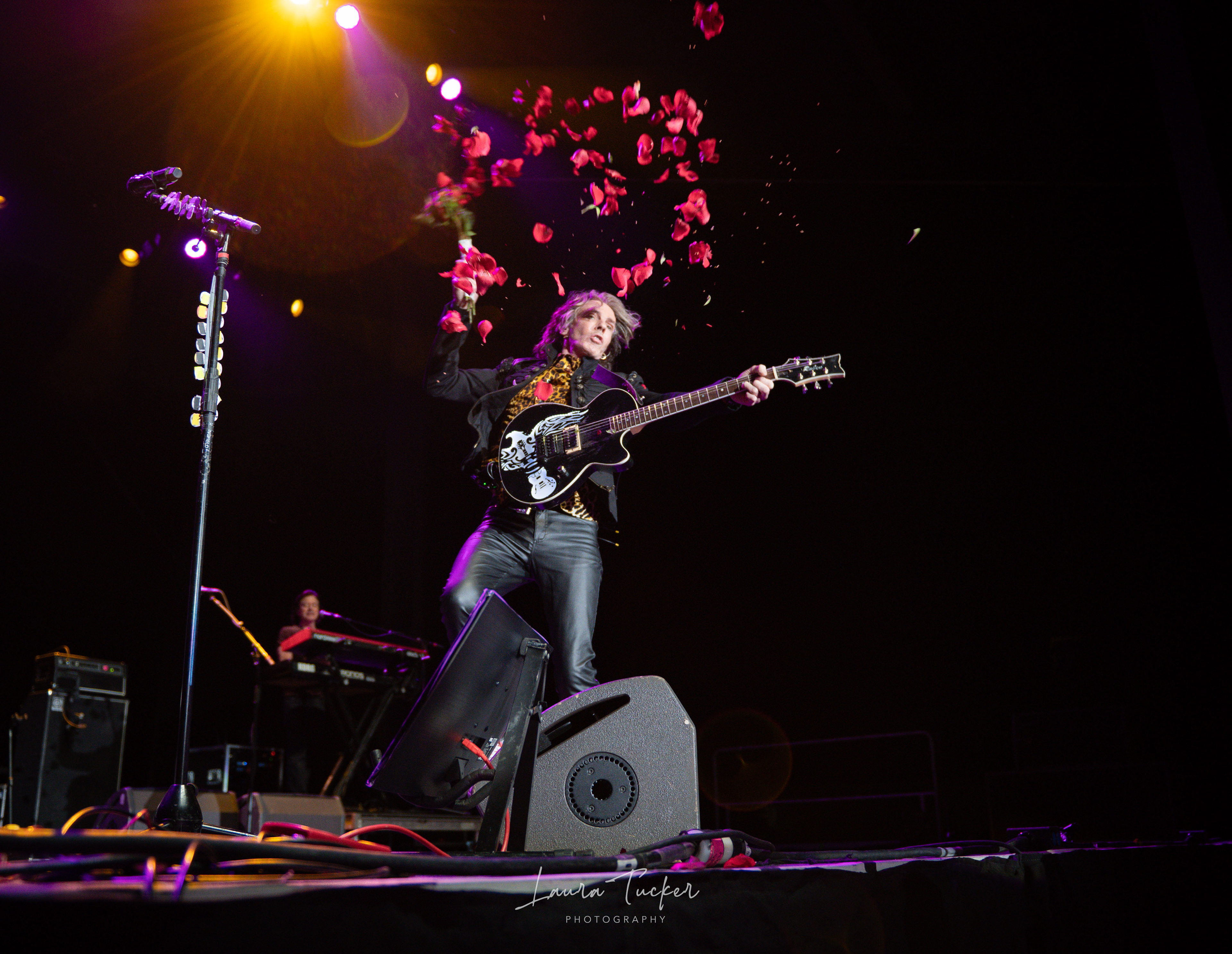 RICK SPRINGFIELD