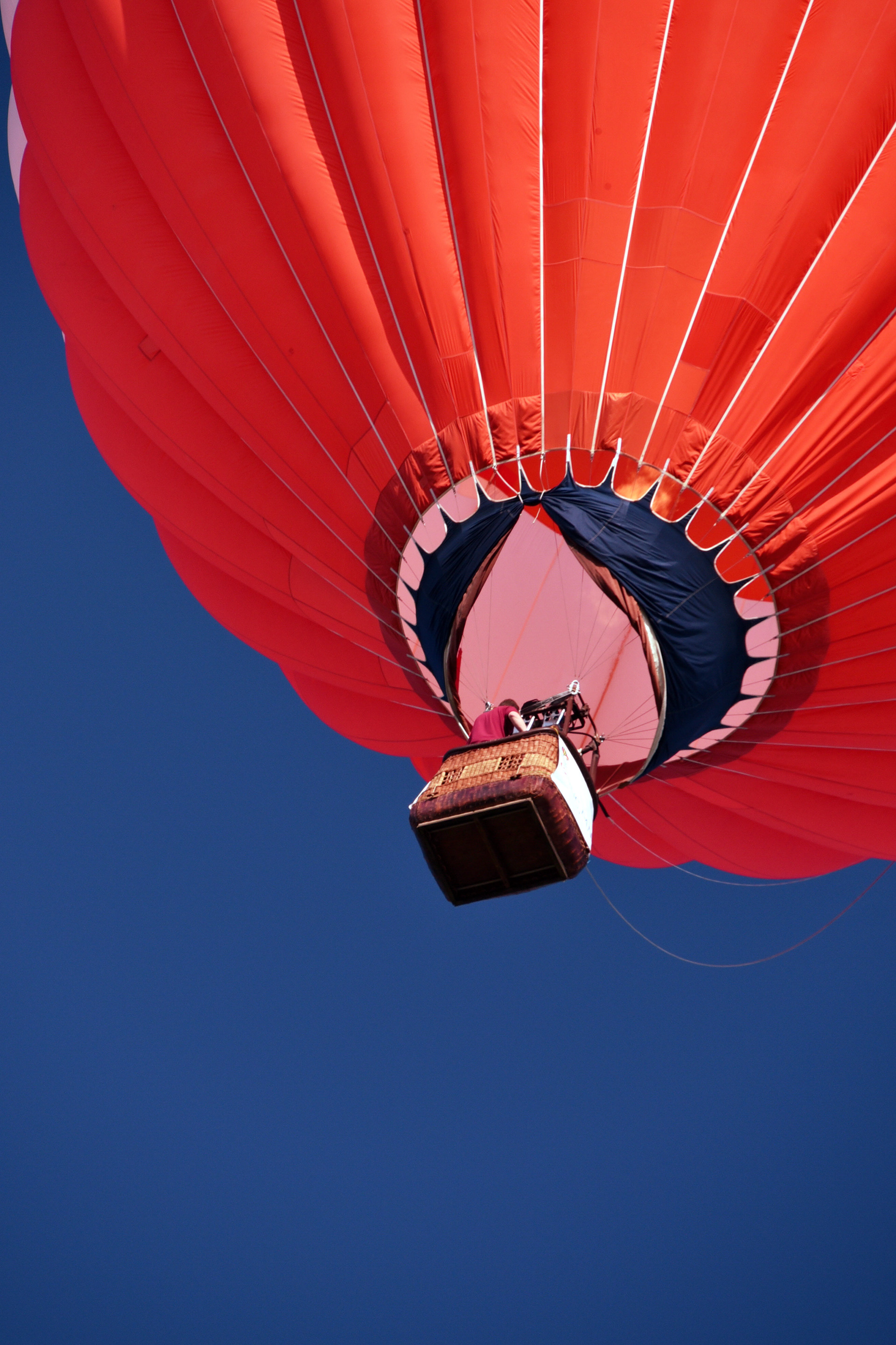 Forest Park Balloon Race