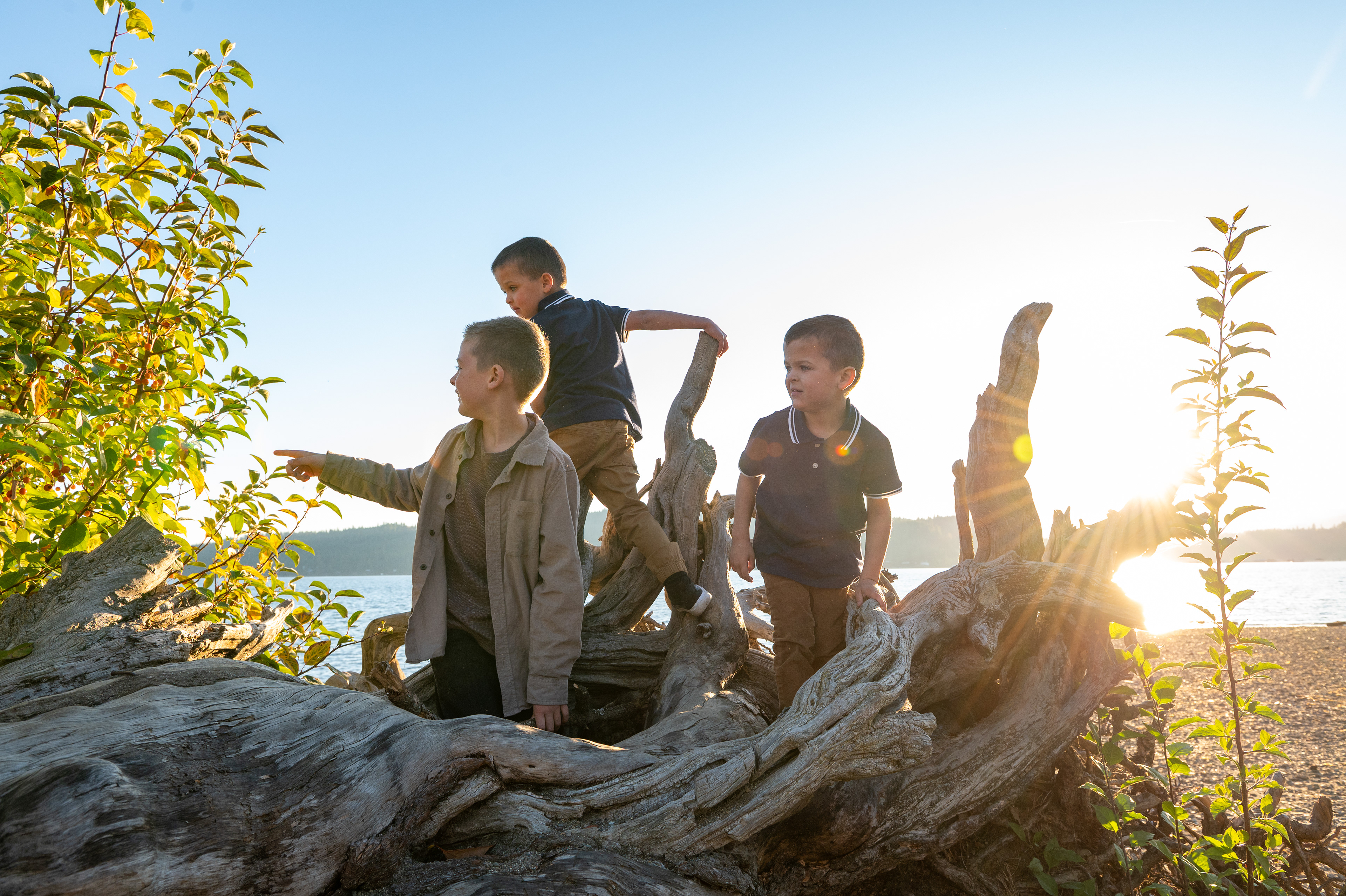 Boys playing on an old tree root by the lake