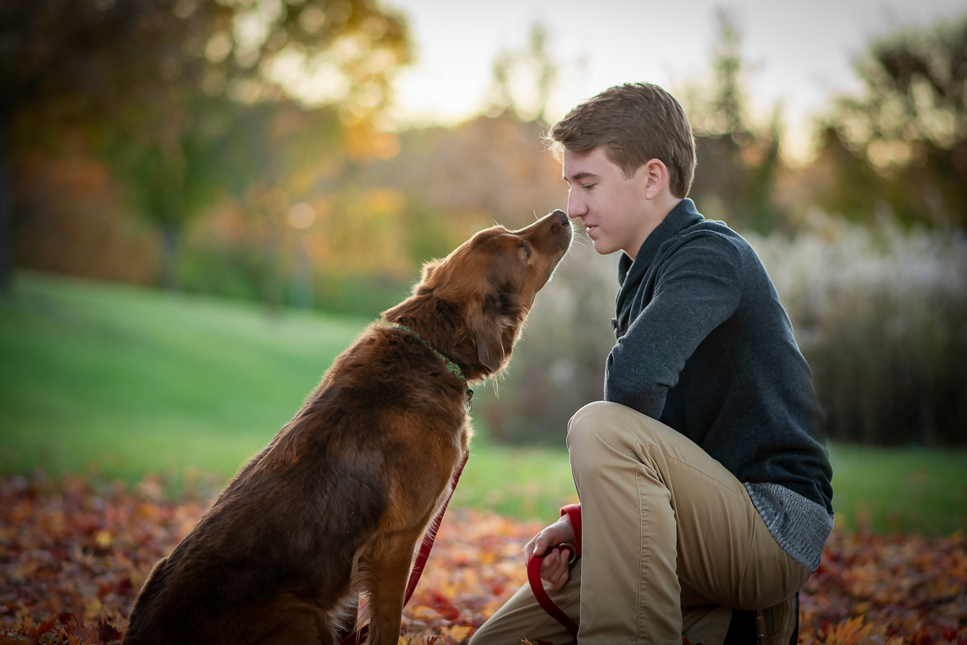 high school senior boy with dog