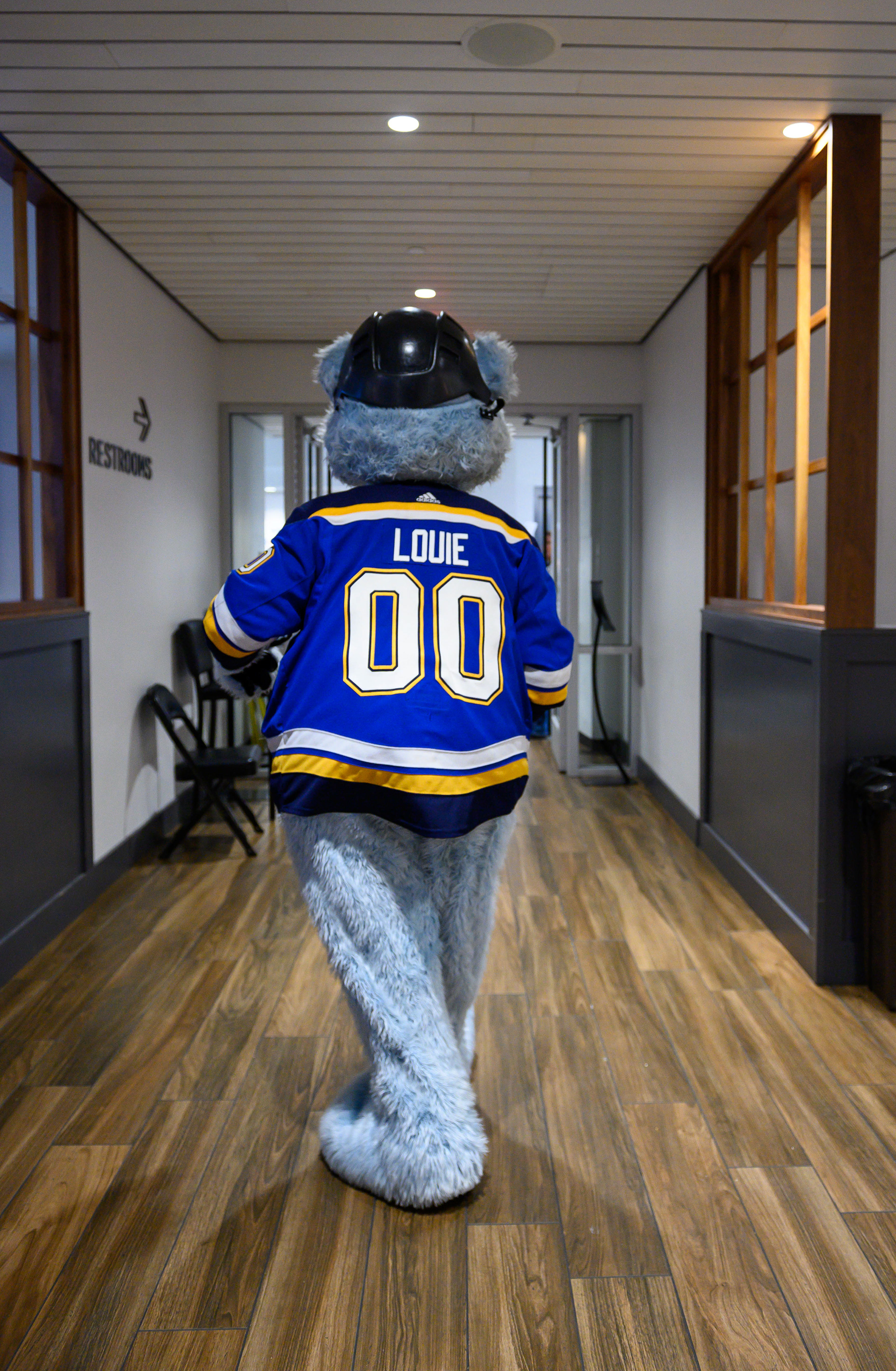 Louie, Operation Shower, St. Louis