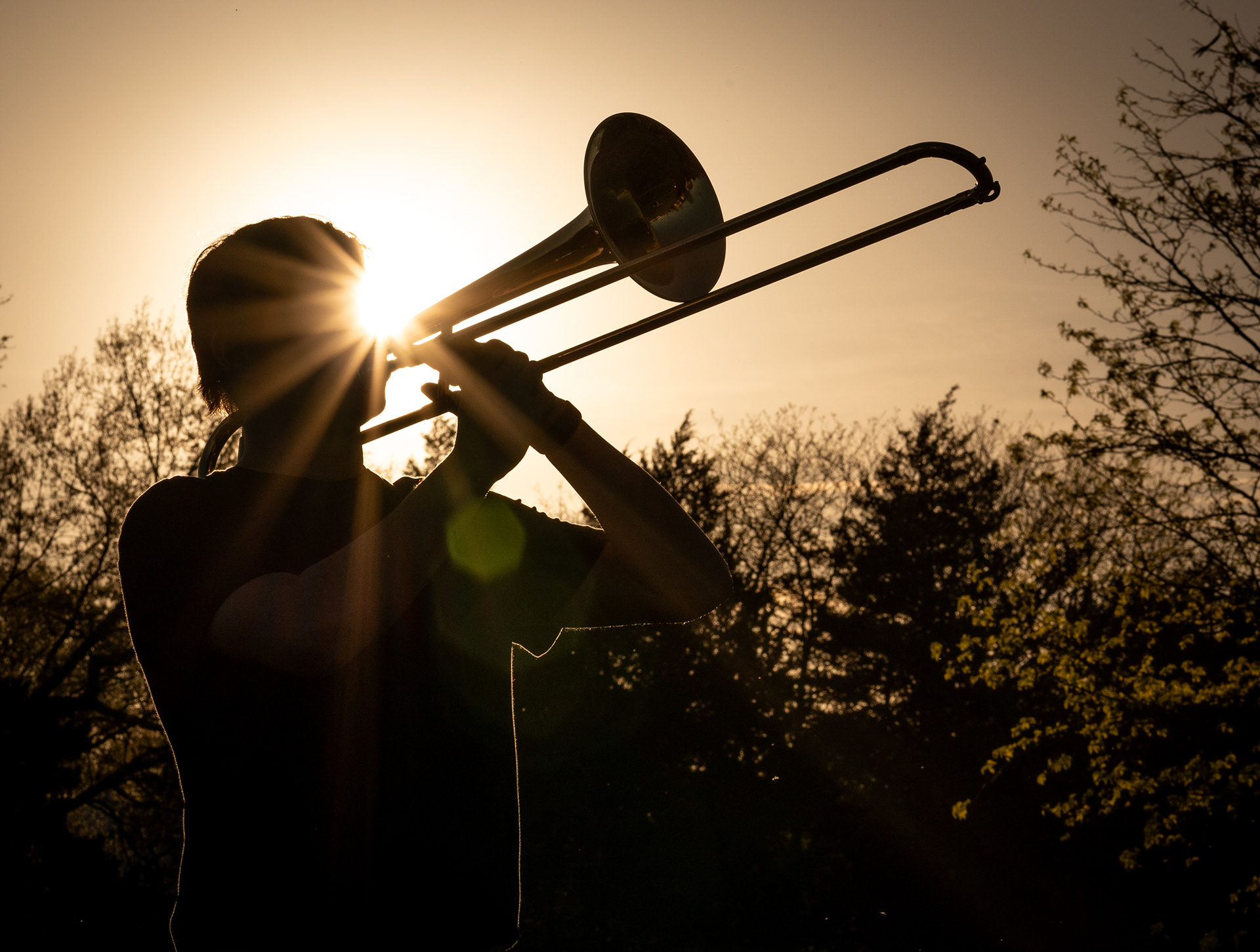 Trumpet and sunshine