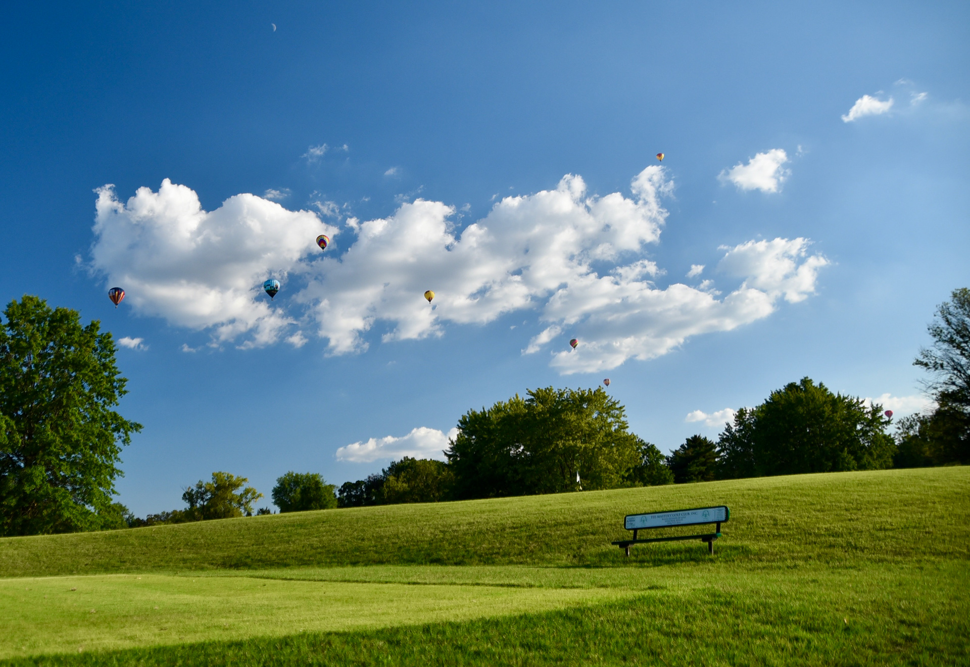 FOREST PARK BALLOON RACE