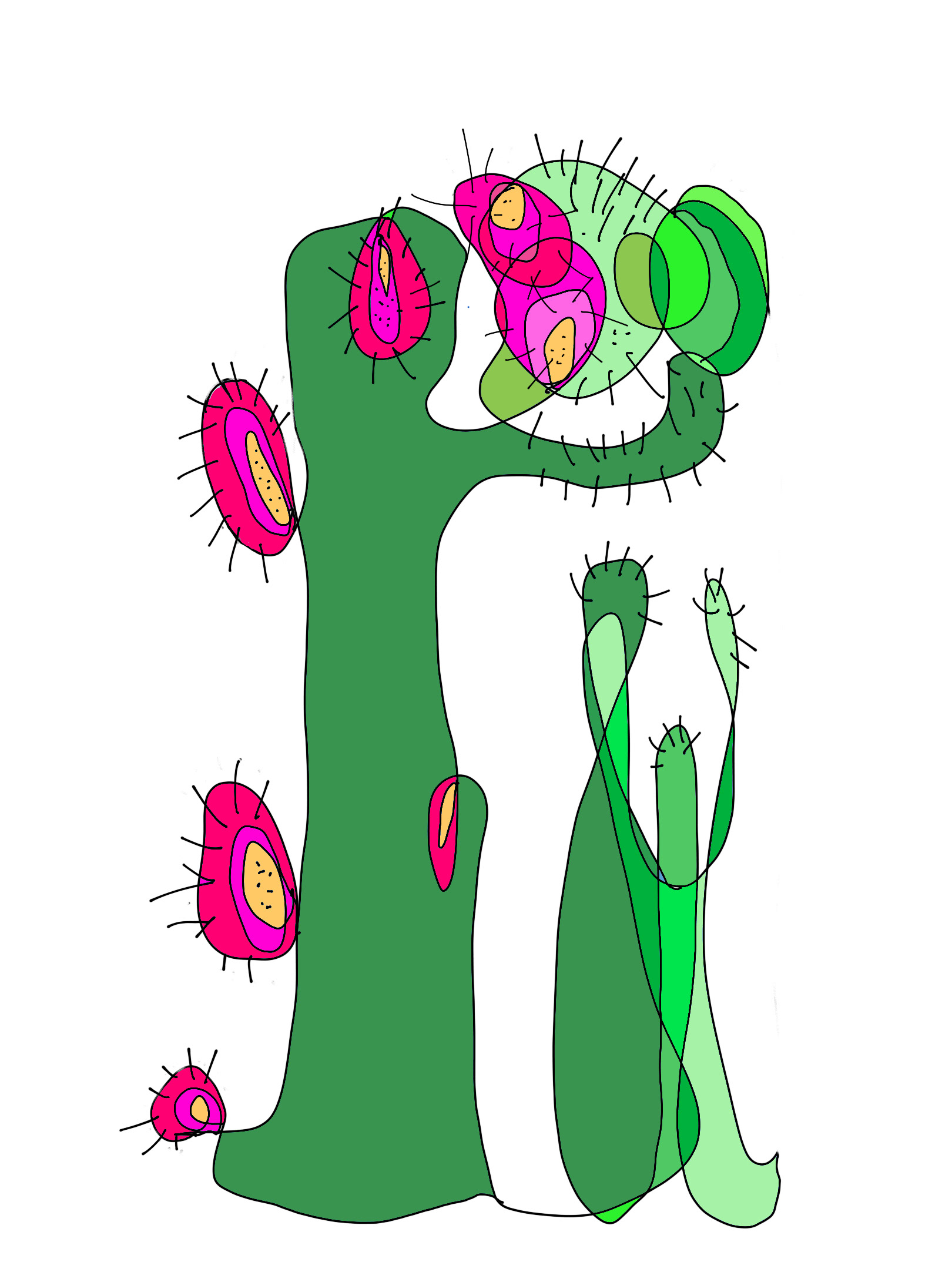 floppy cactus drawing