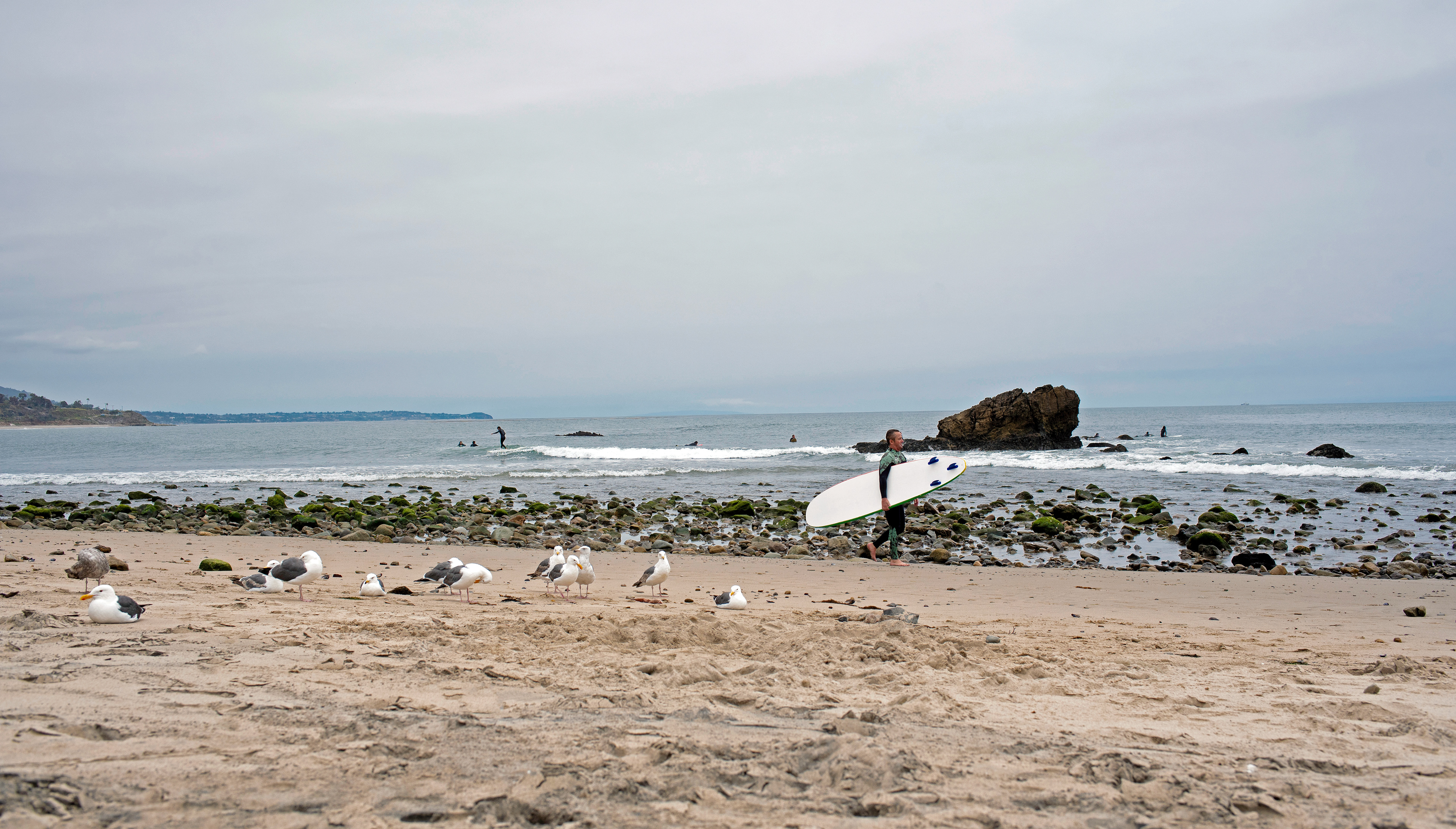 Surfer on Malibu Beach