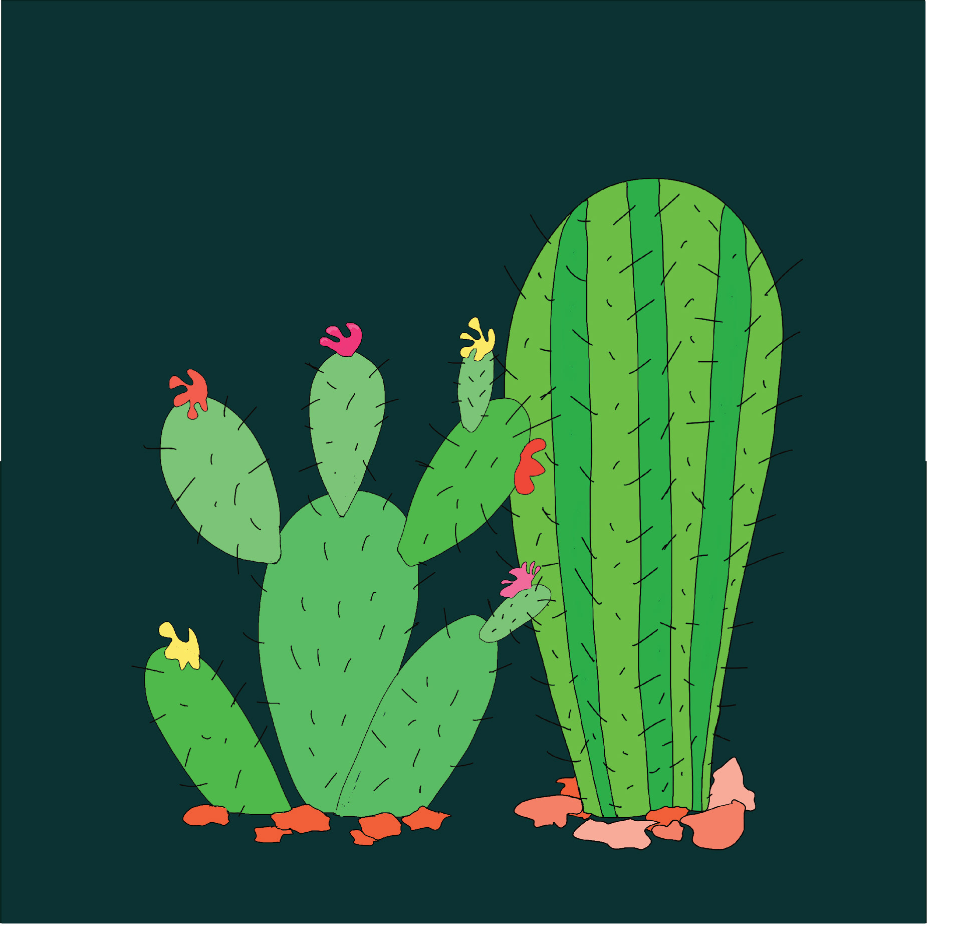 cactus pair