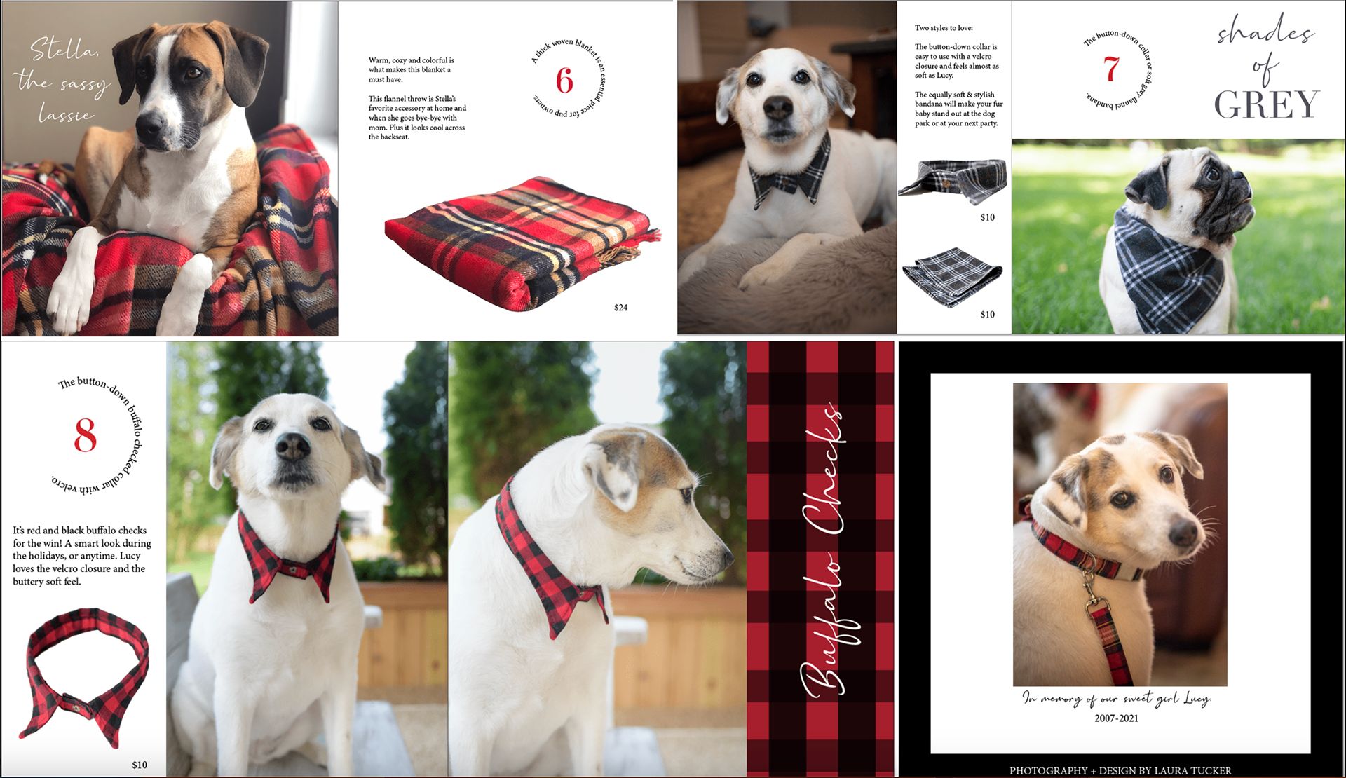 look book for dog accessories.