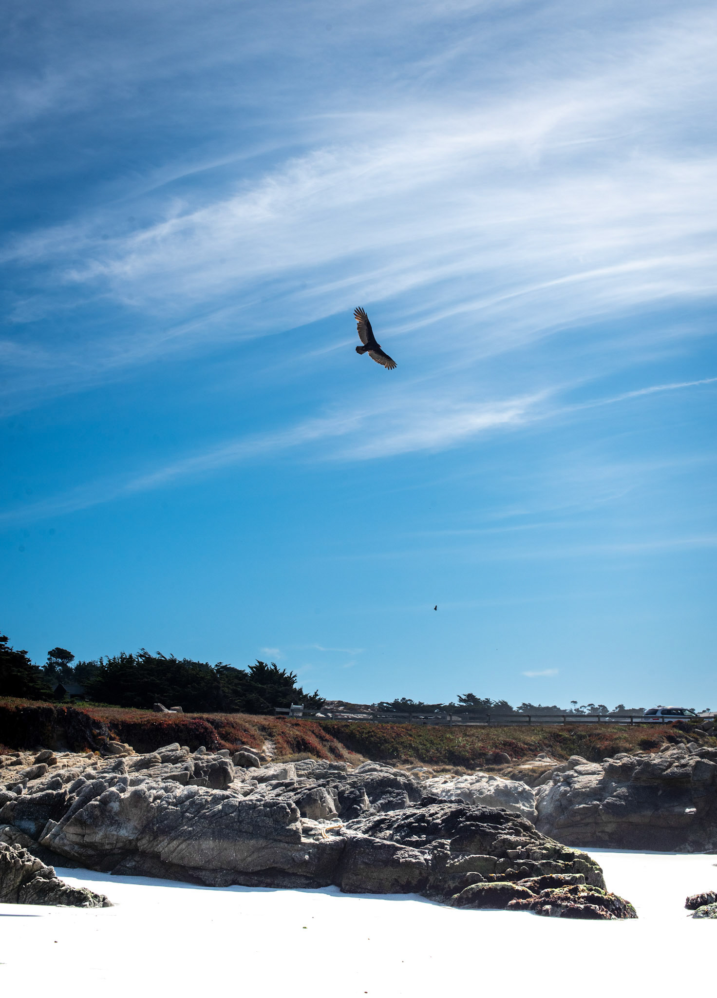 SEAL ROCK BEACH, MONTERY