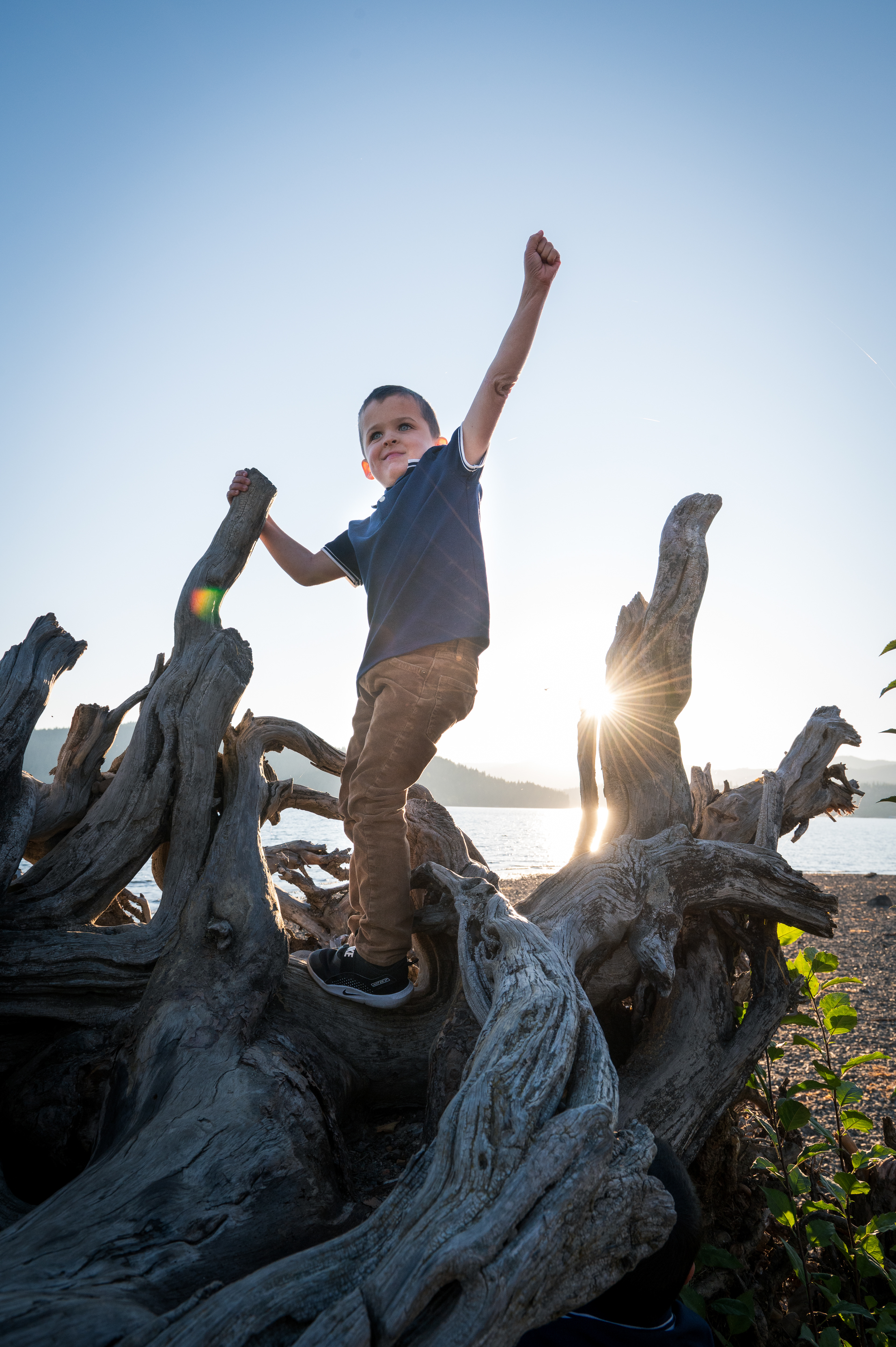 Boy is triumphant atop a tree root