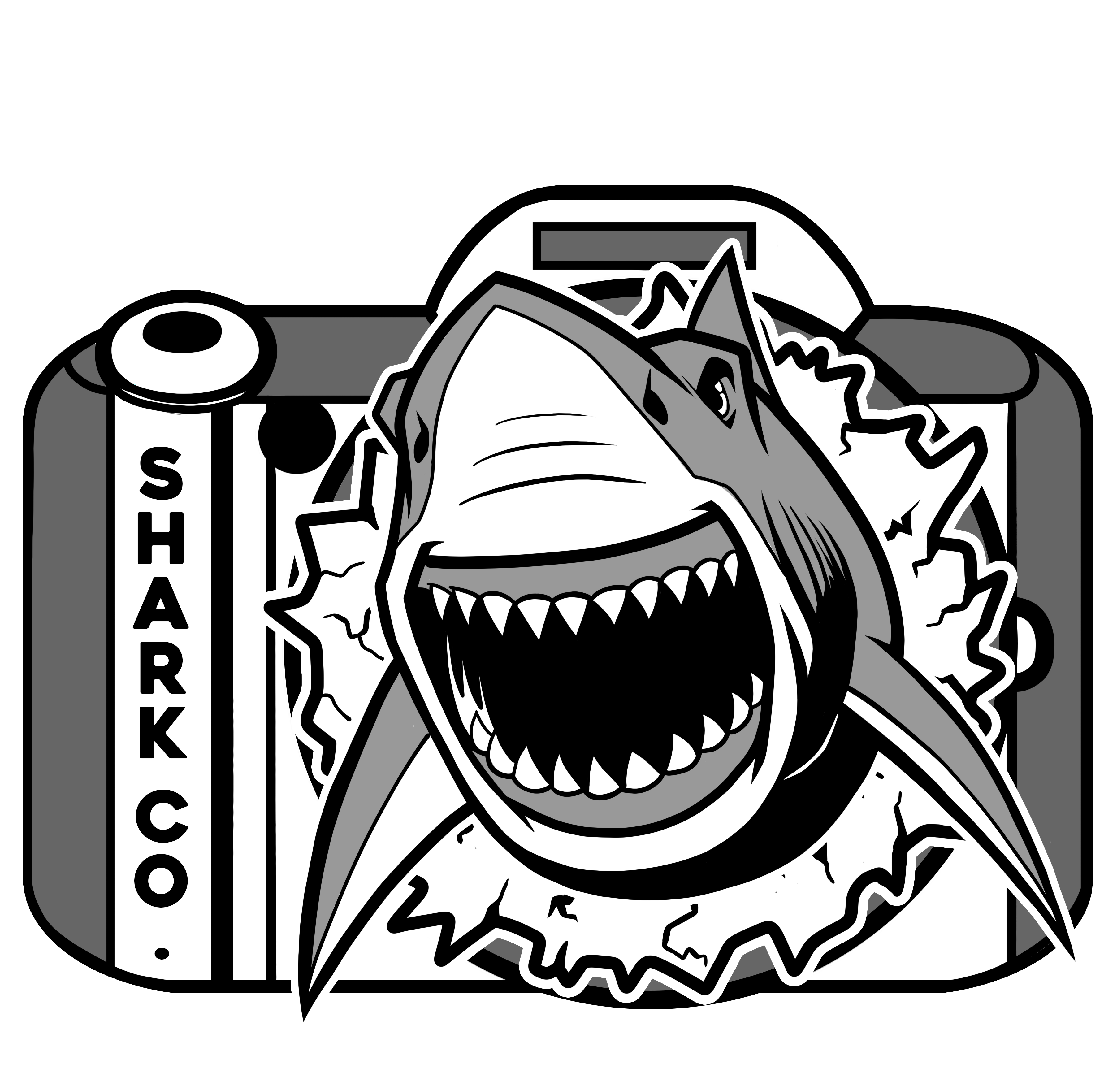 Shark House Film and Photograph