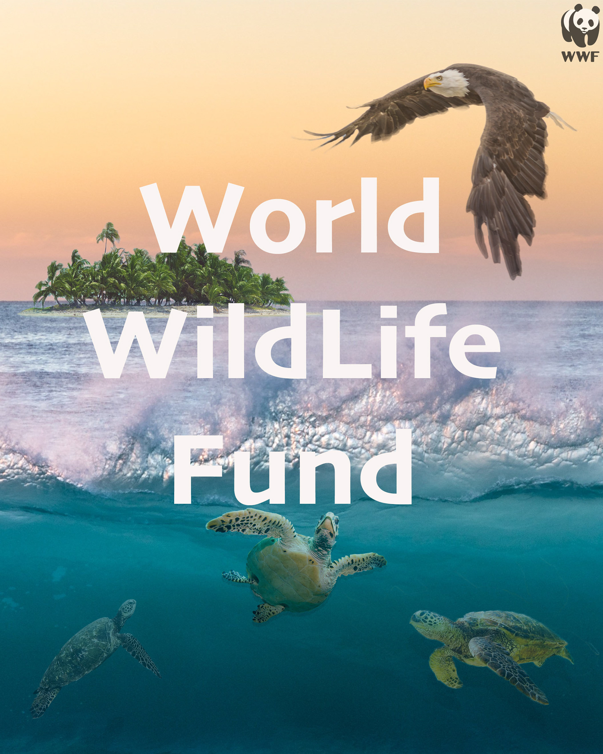 Non-Profit flyer