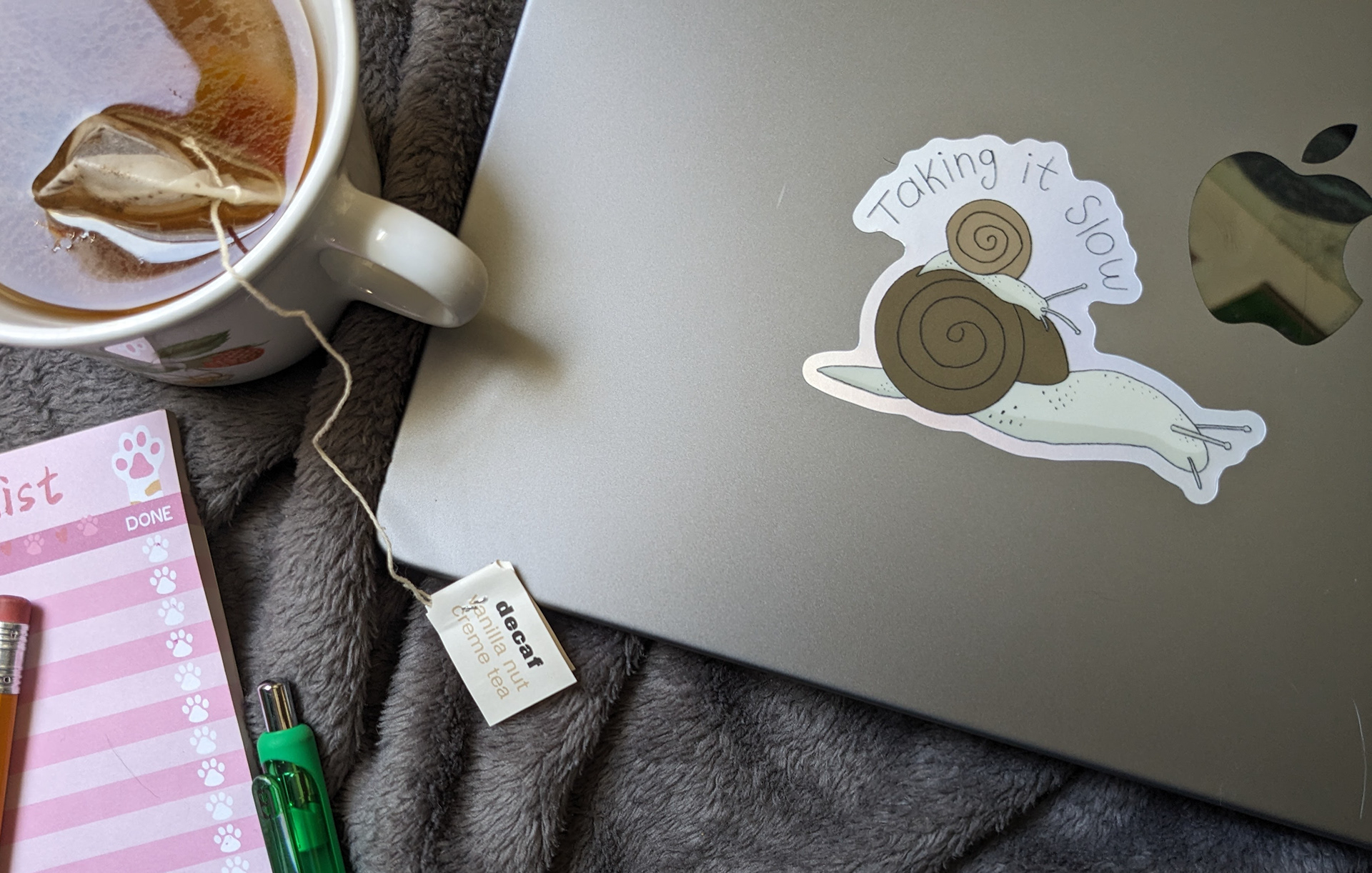 Taking it Slow Vaporwave Snail Sticker (Out of Stock)