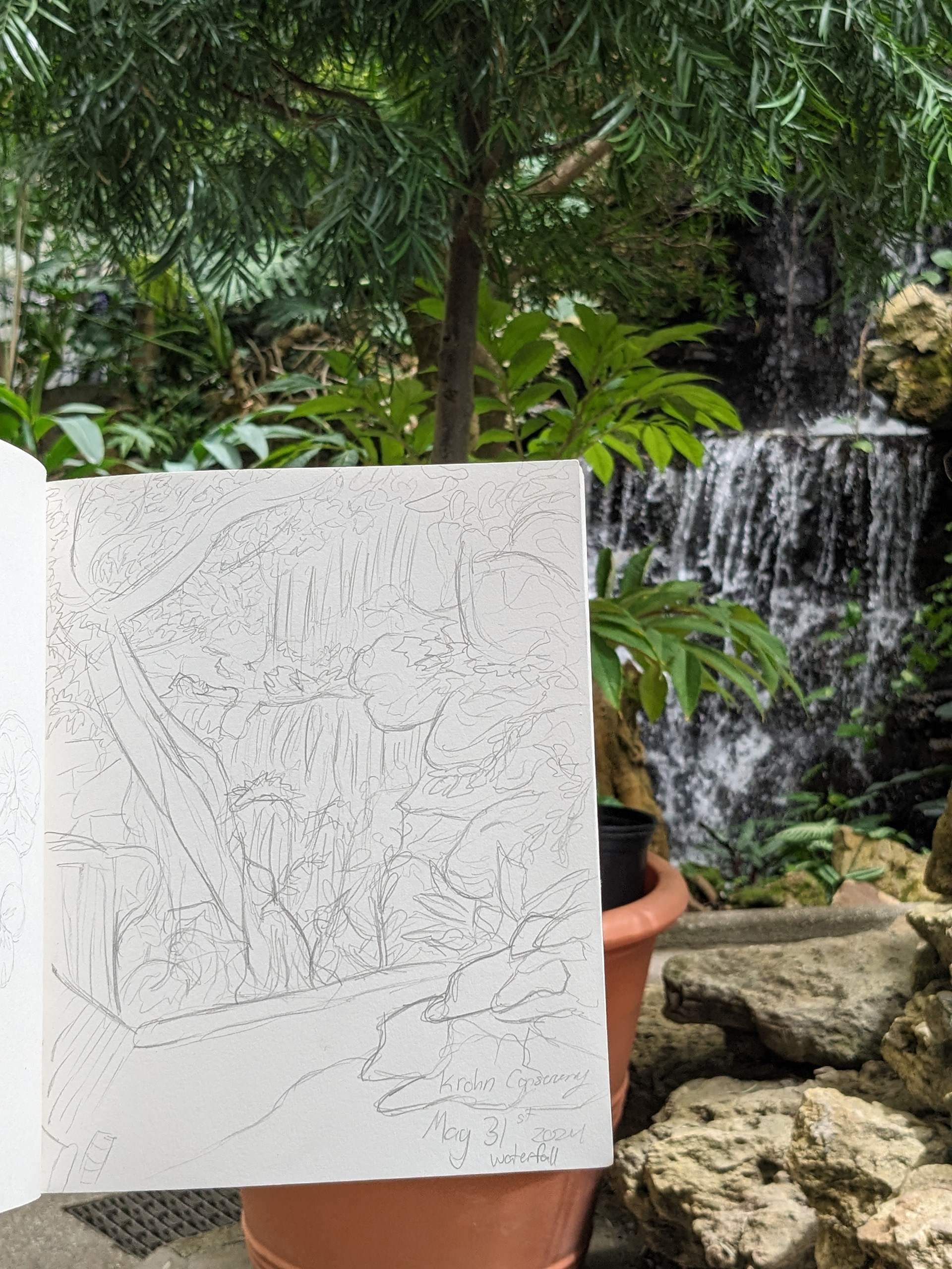Waterfall at Krohn Conservancy 5/31/24