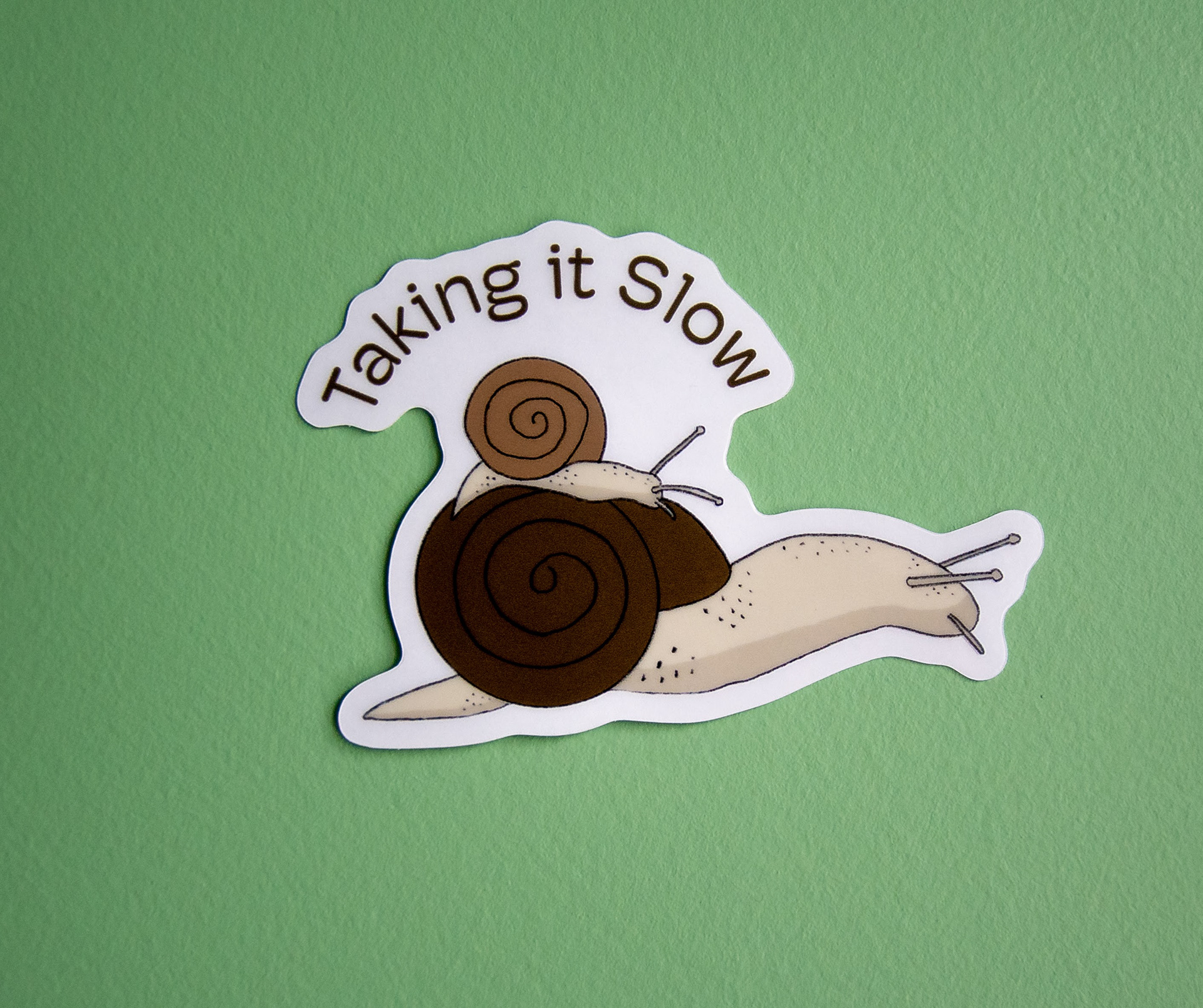 Taking it Slow Clear Snail Sticker (11 in Stock)