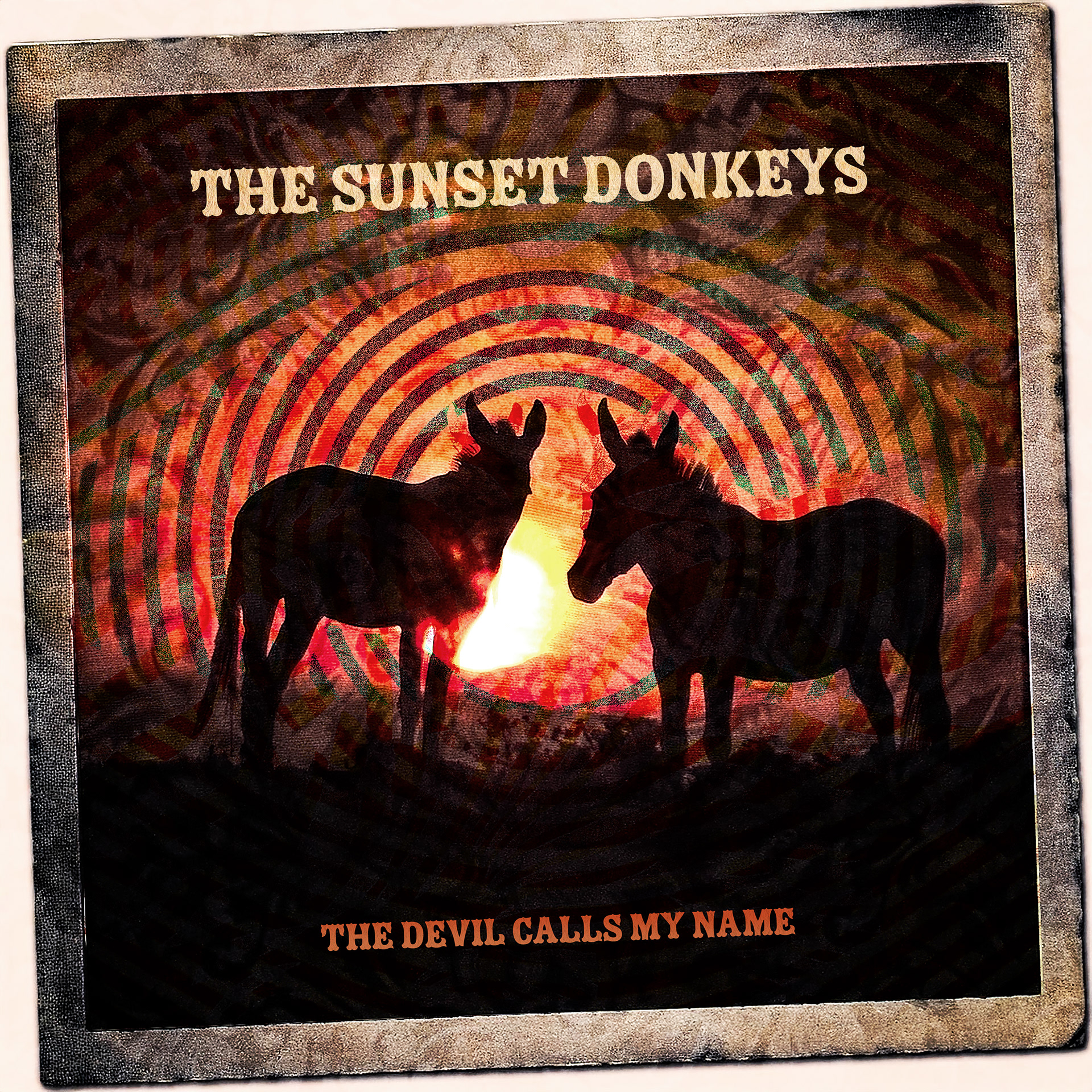 The Sunset Donkeys