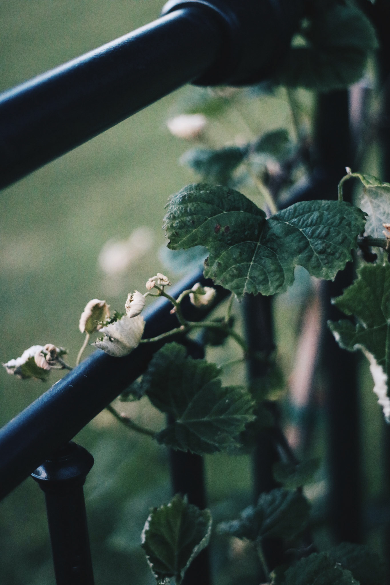 Processed with VSCO with hb2 preset