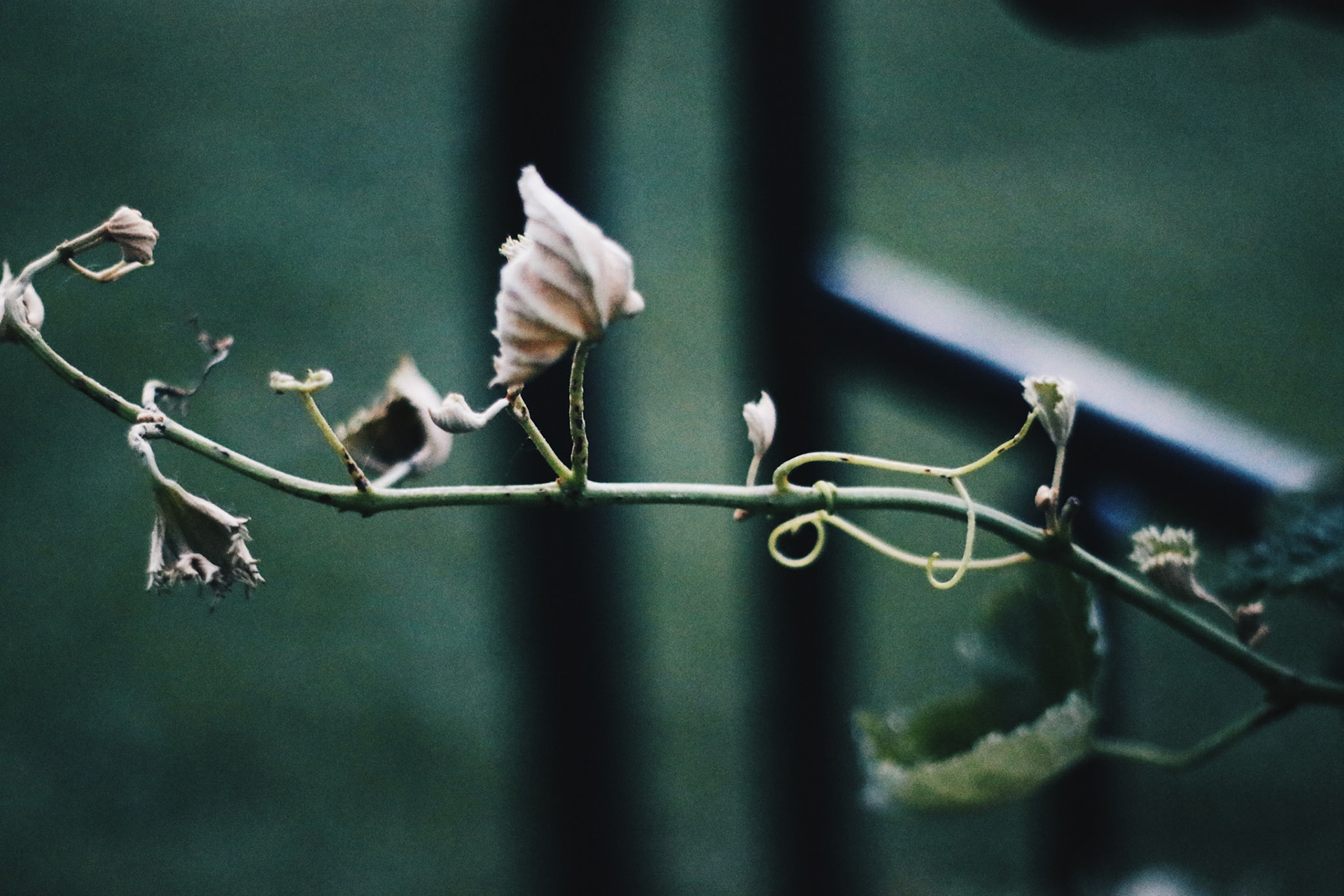 Processed with VSCO with hb2 preset