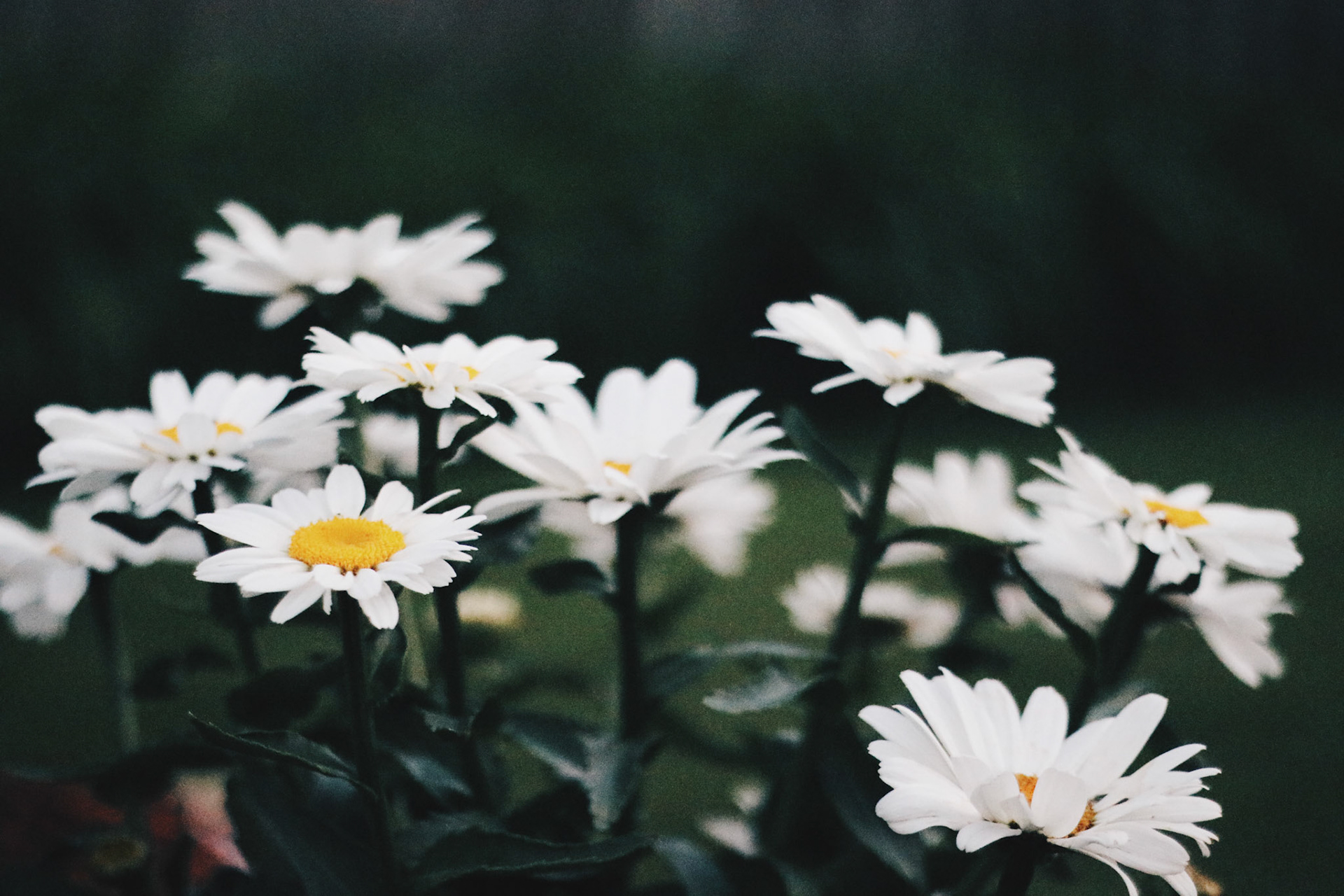 Processed with VSCO with hb2 preset