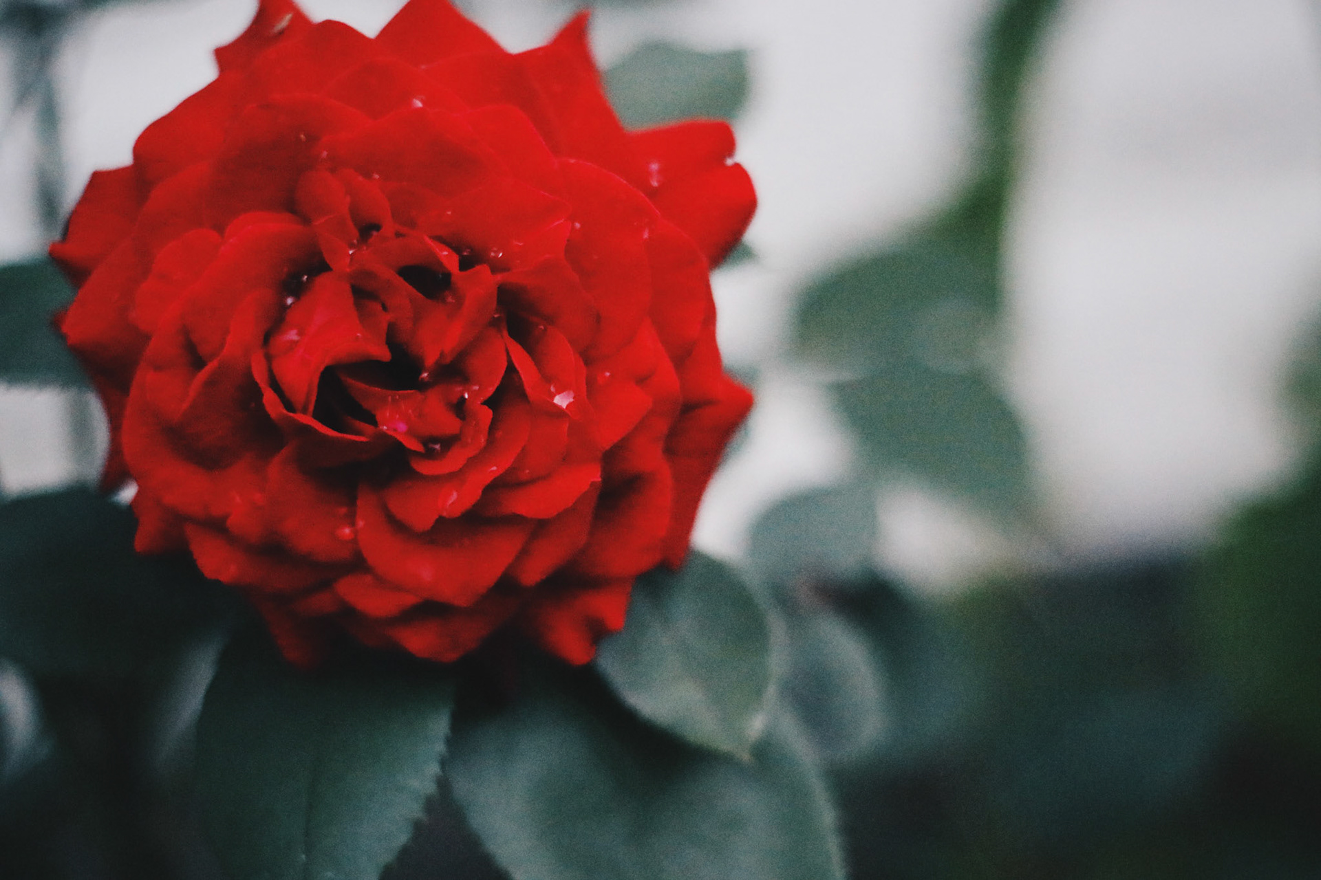 Processed with VSCO with hb2 preset