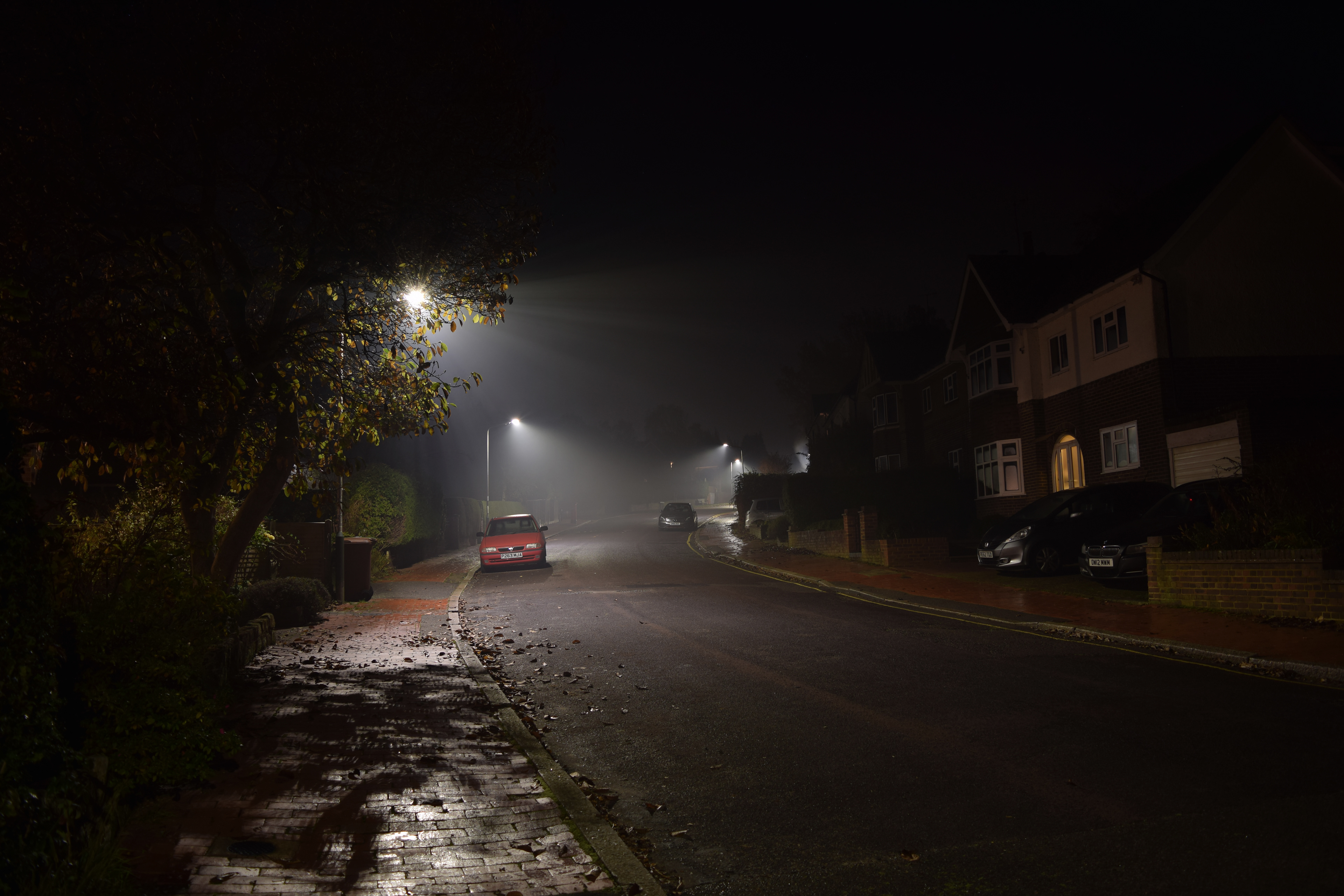 The image from my photoshoot I used for all of my Light cycle renders