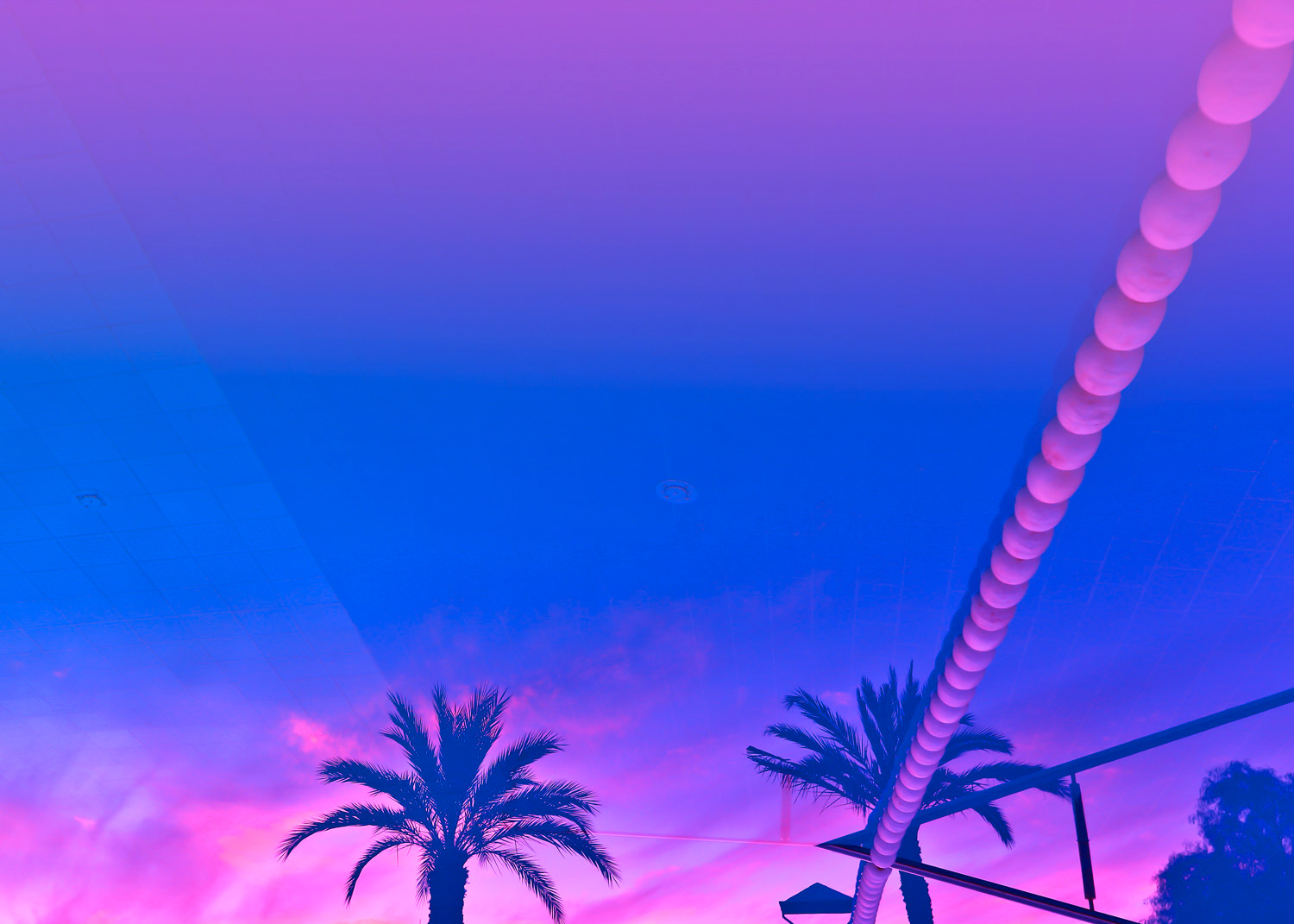 Palms And Sunset With Reverberation