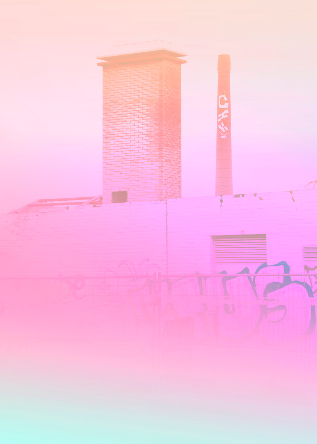 Concrete Flowers