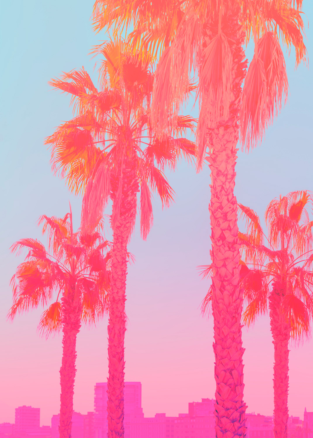 Tropical Vision