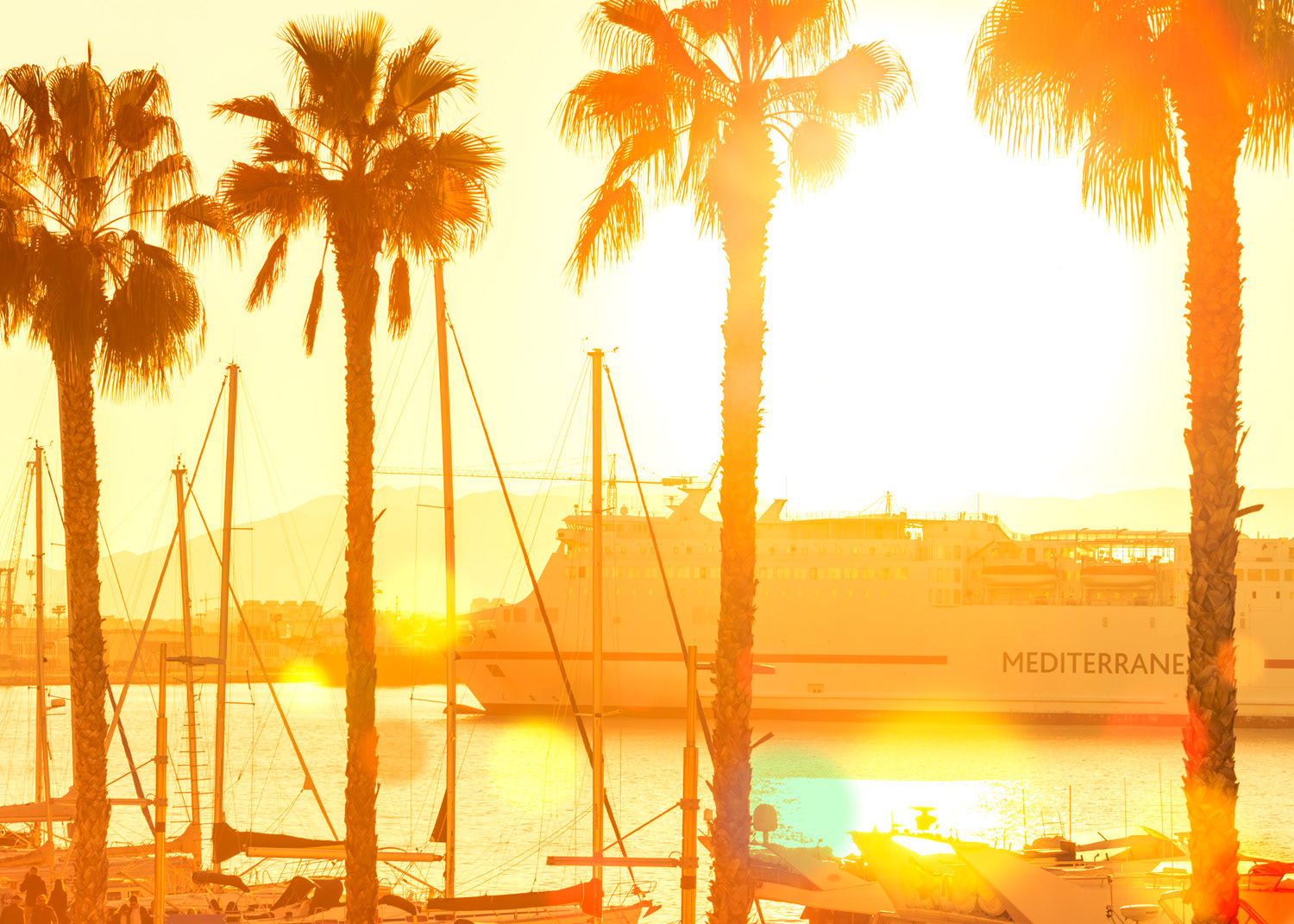 The Marina At Sunset