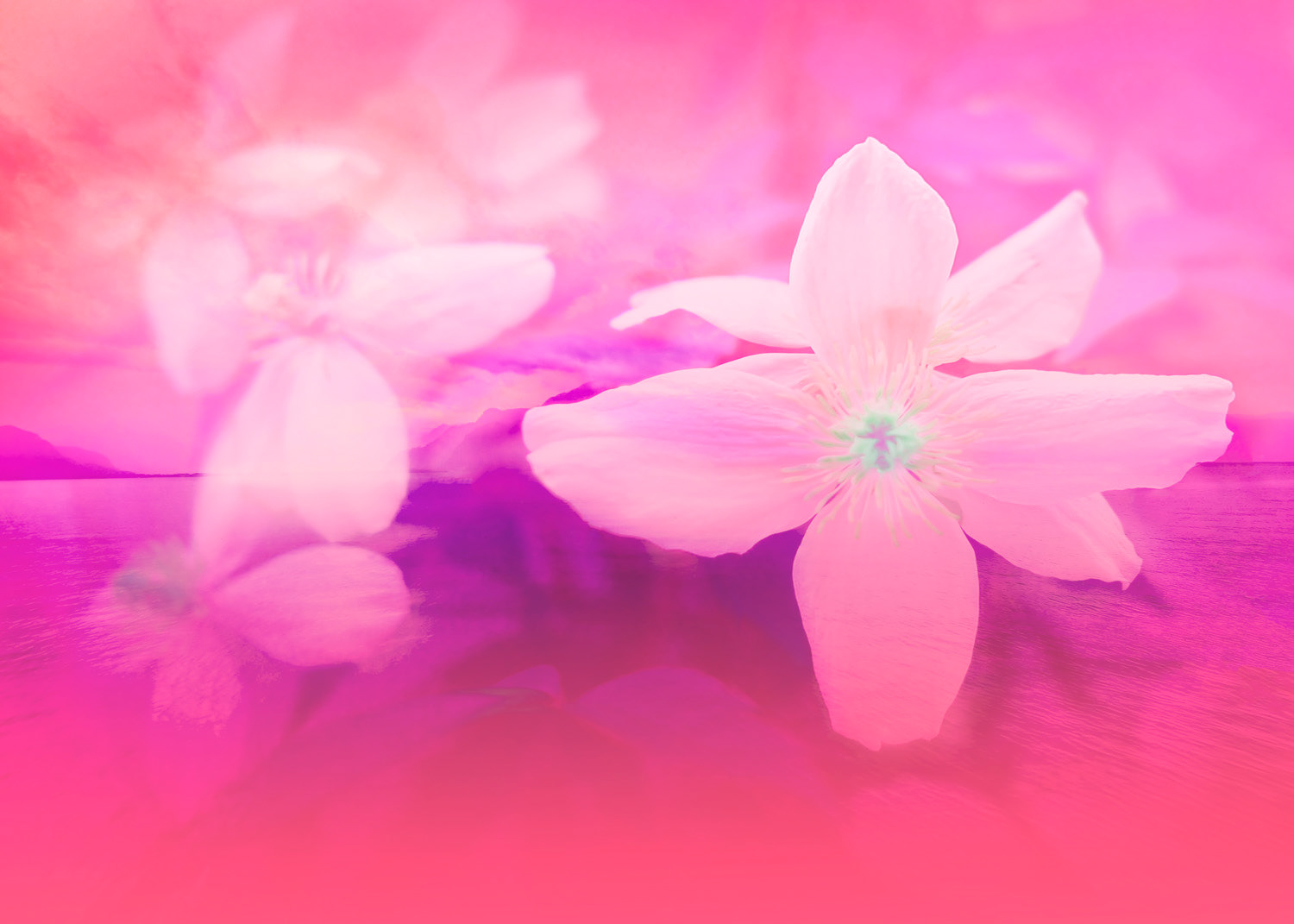Romantic Garden