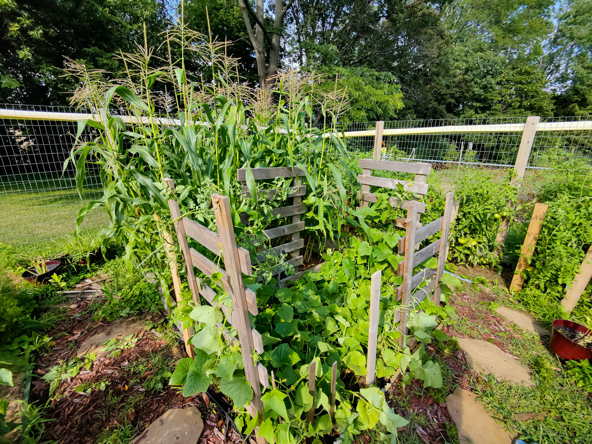 THE GARDEN 8.15.2022